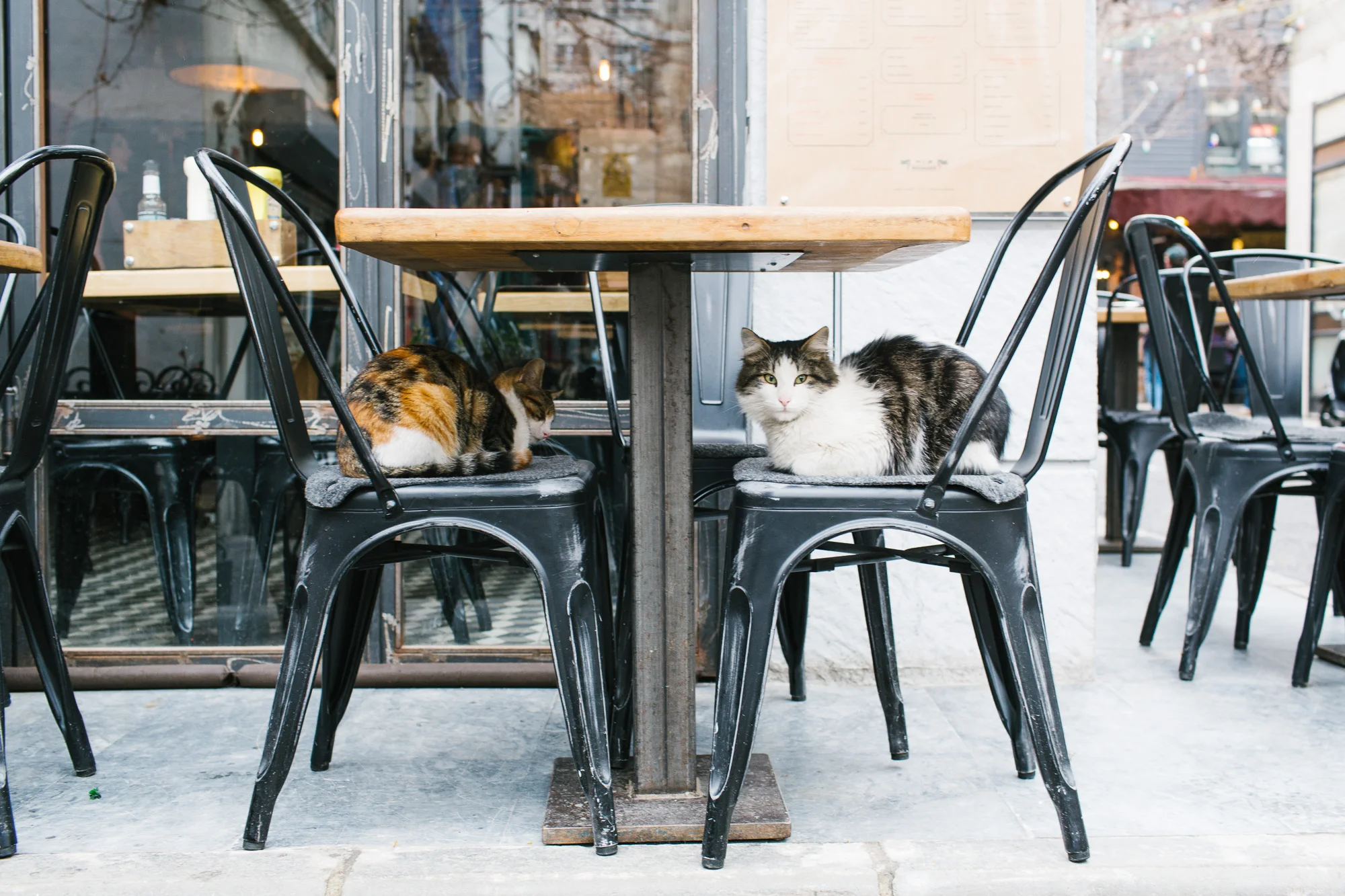 Istanbul_Coffee-AudiMagazine-FinnBeales-02.jpg