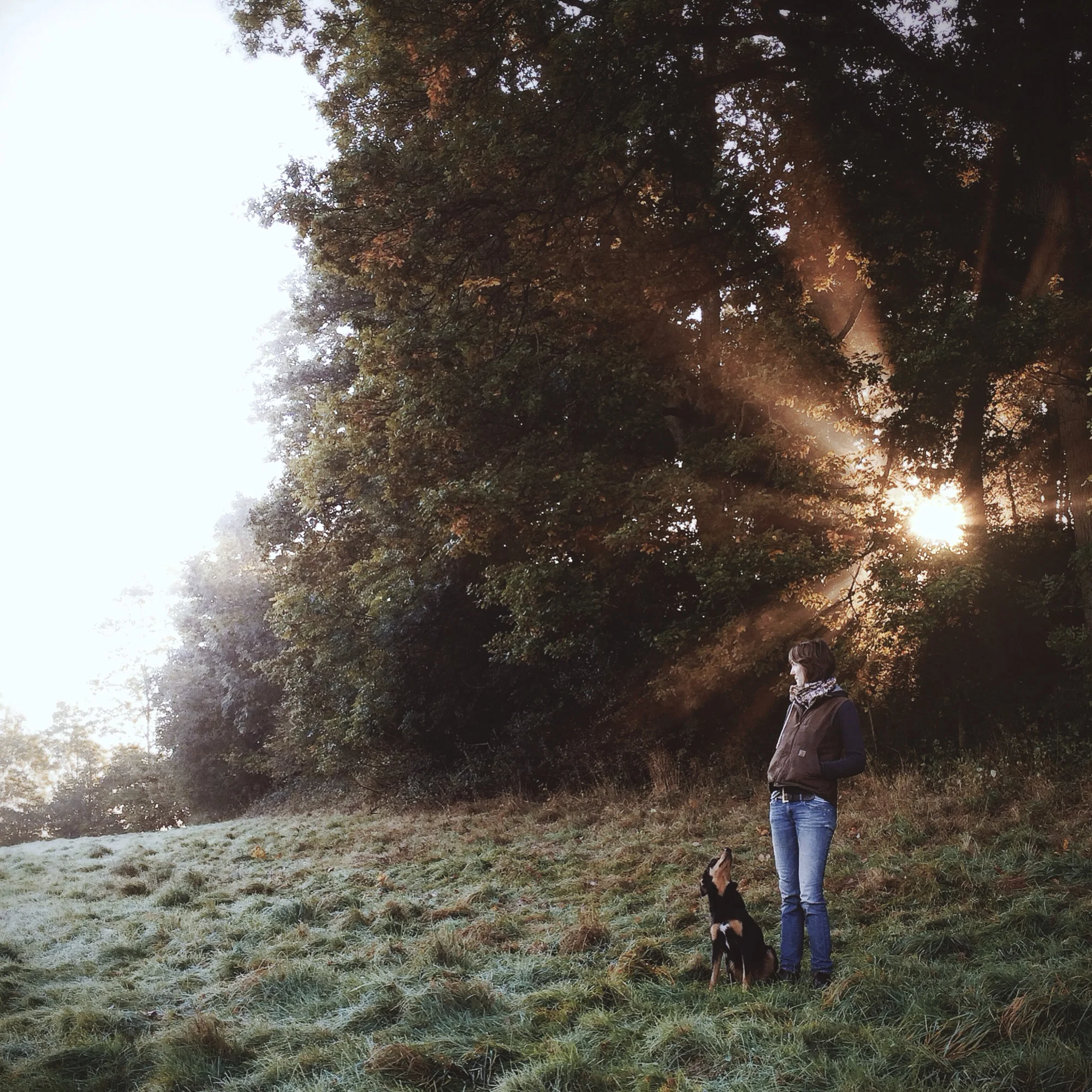 Barbour-FinnBeales-01.jpg