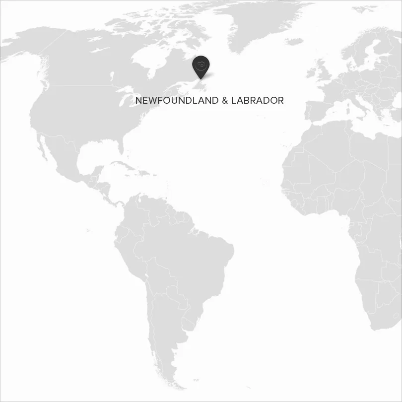 2000px-BlankMap-World6,_compact.svg.jpg