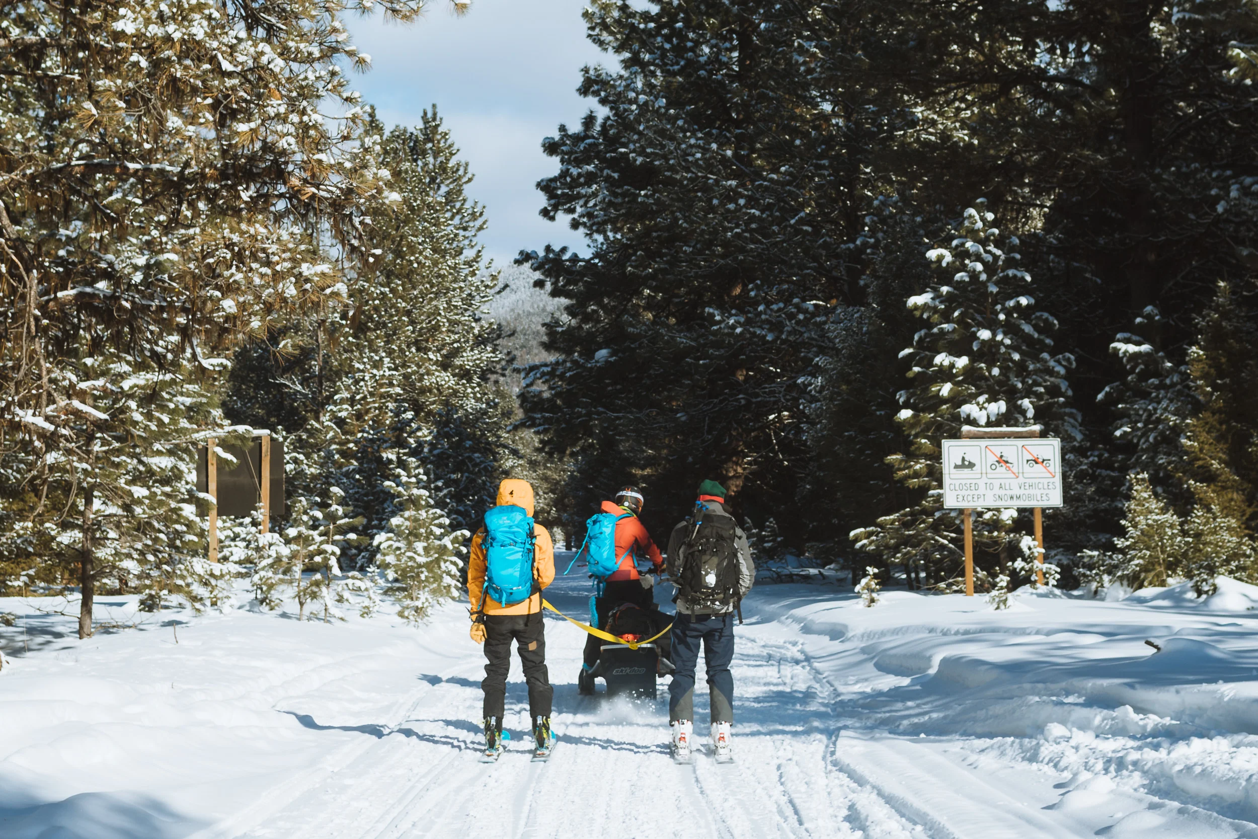 skidoo-41.jpg