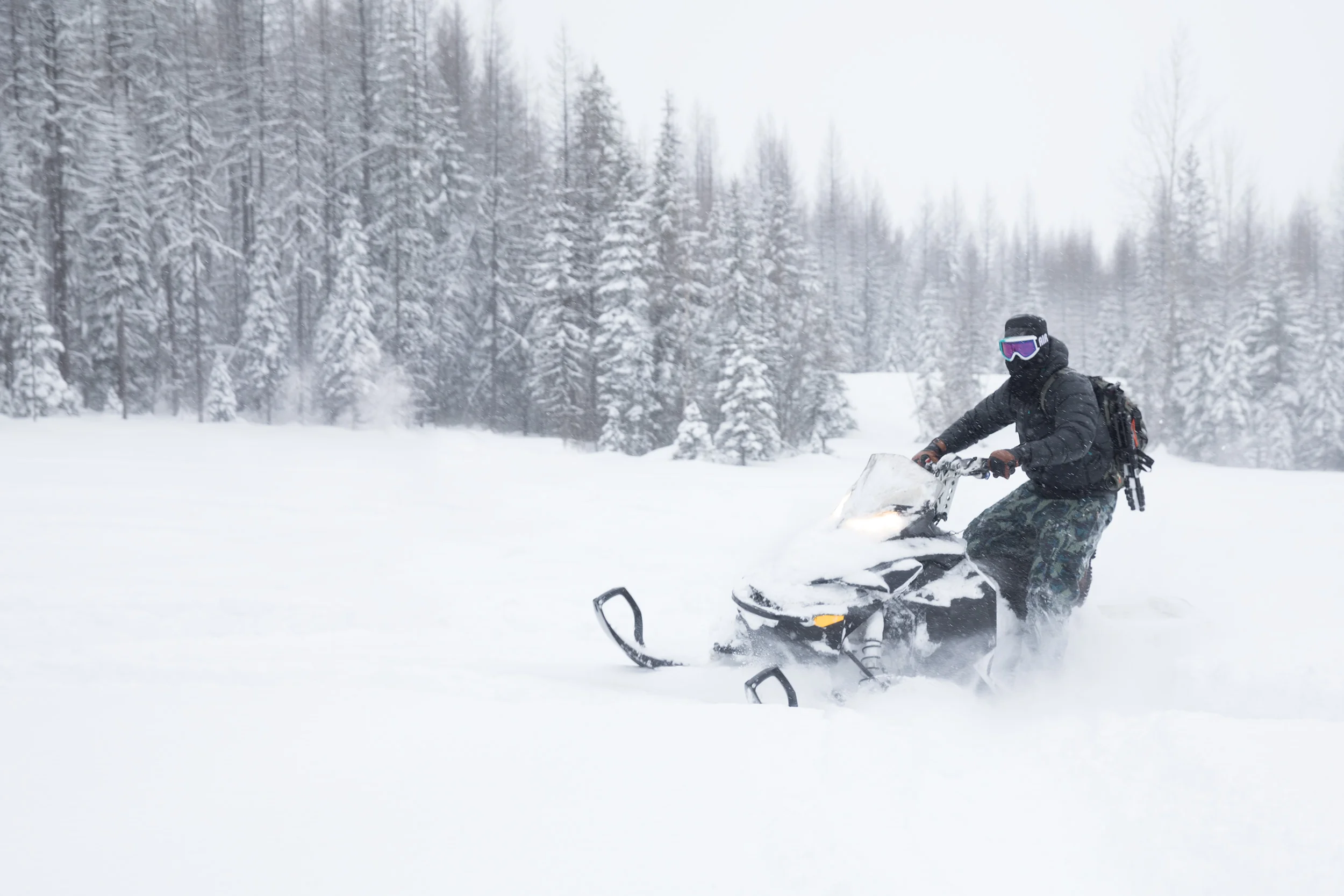 2017-Montana-February-1052-2.jpg