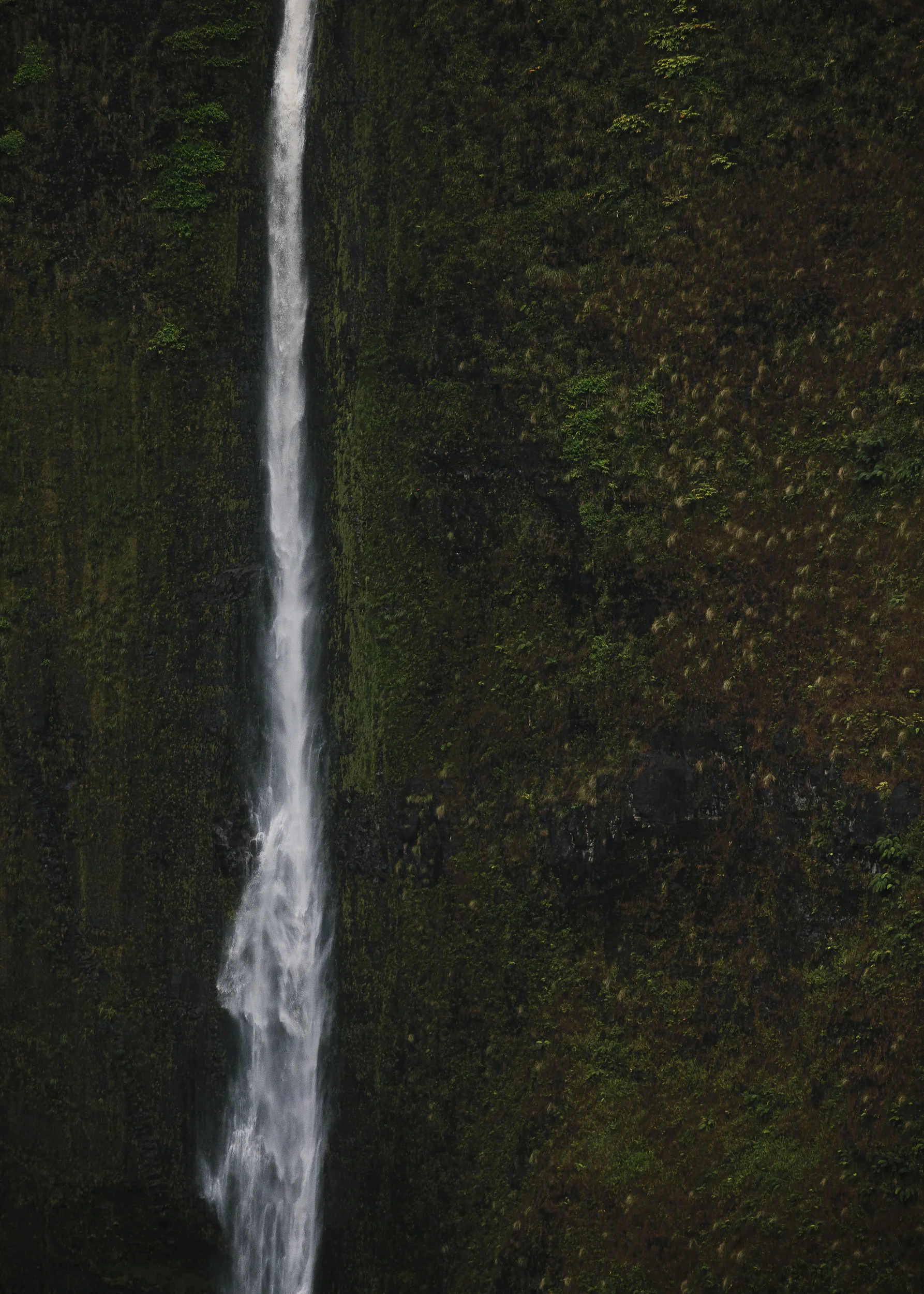 Hawaii-124.jpg
