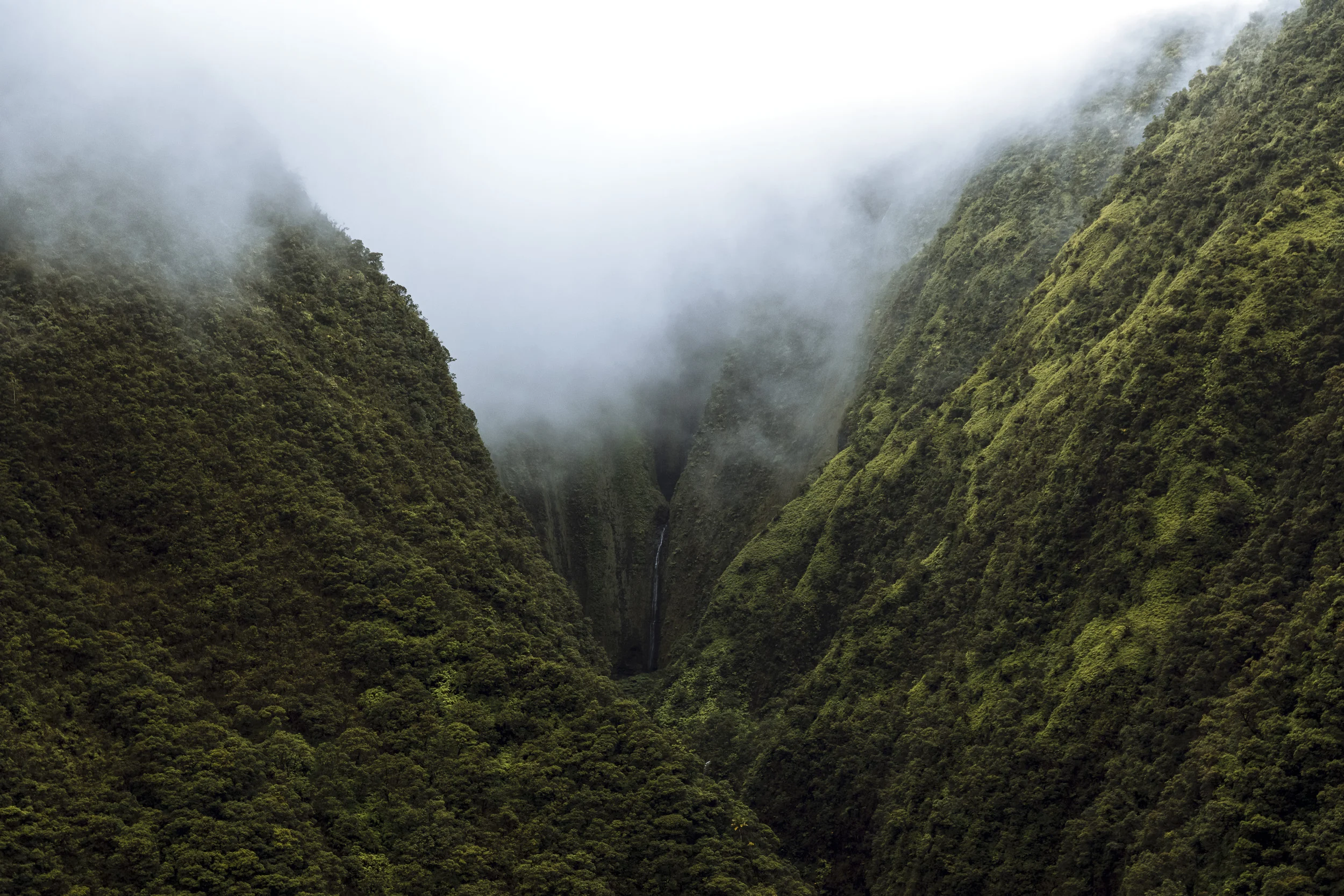 Hawaii-21.jpg