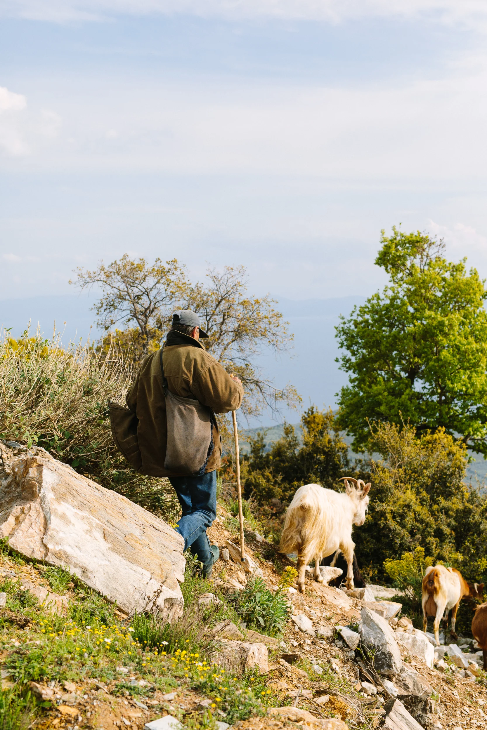 Pelion-Greece-Finn-Beales-27.jpg