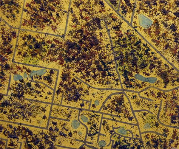 Map </br>2014 oil on canvas </br>50x60cm