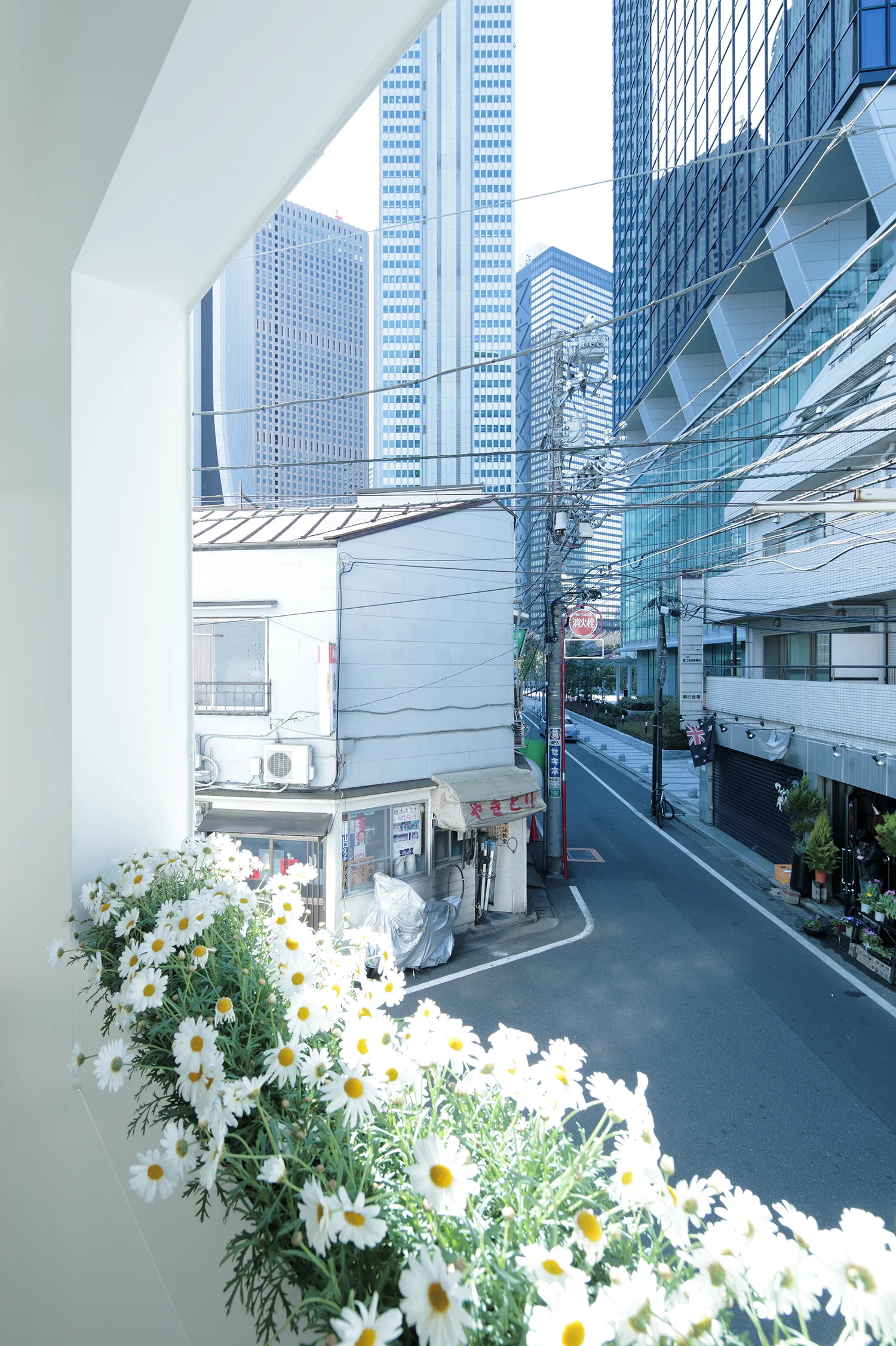 s-house_032.jpg