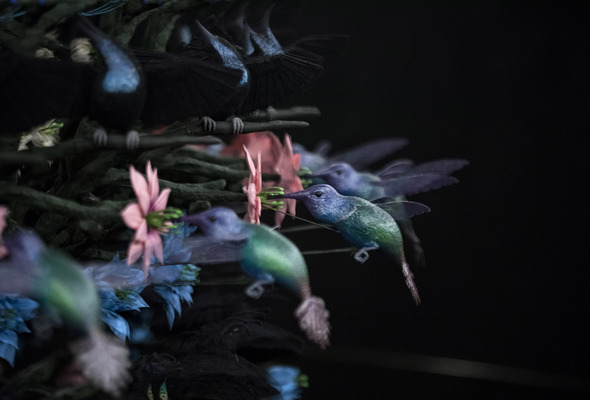 Mat Collishaw, The Centrifugal Soul. 