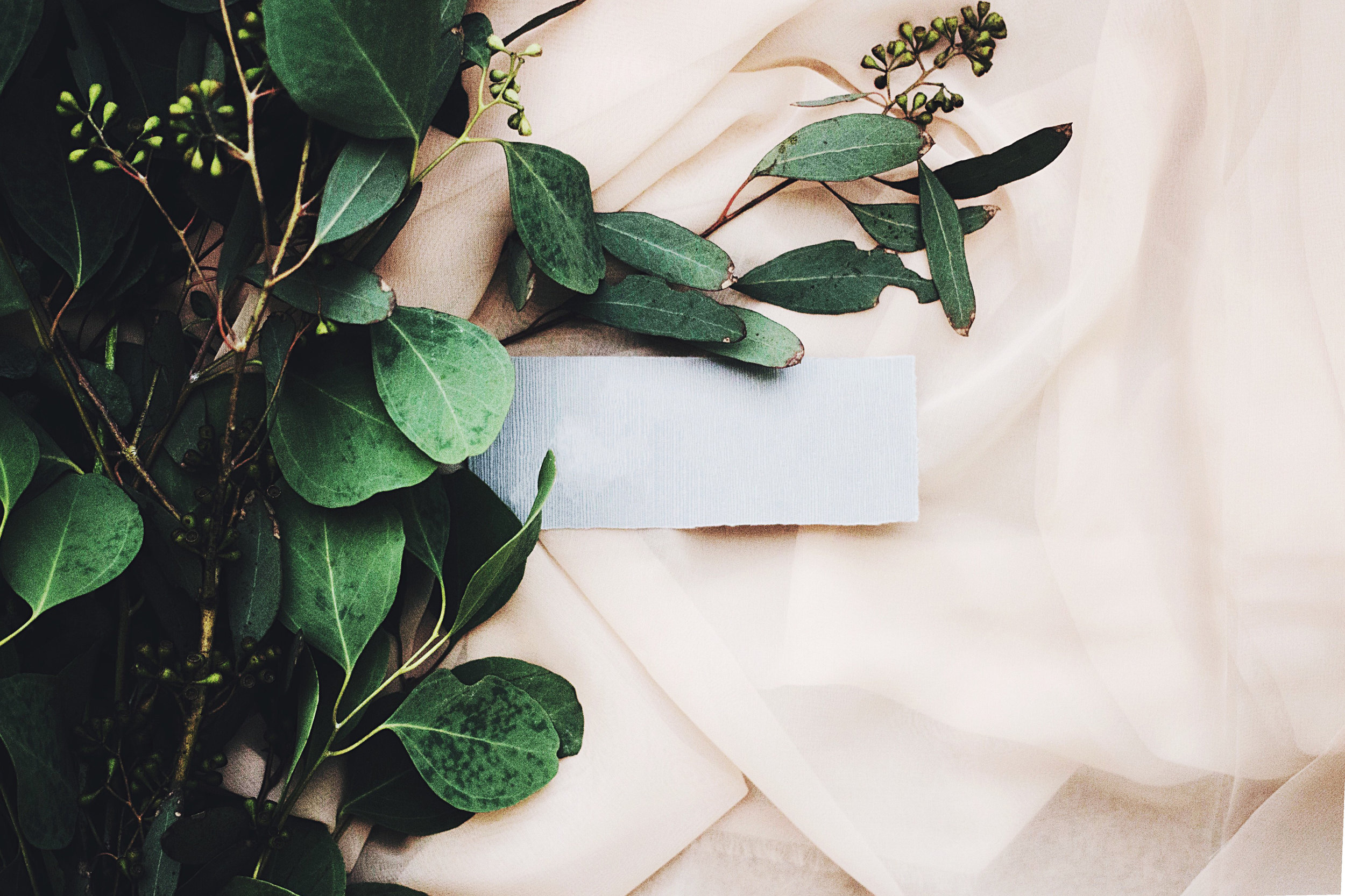 Jazmin Quaymor / Unsplash.com . 