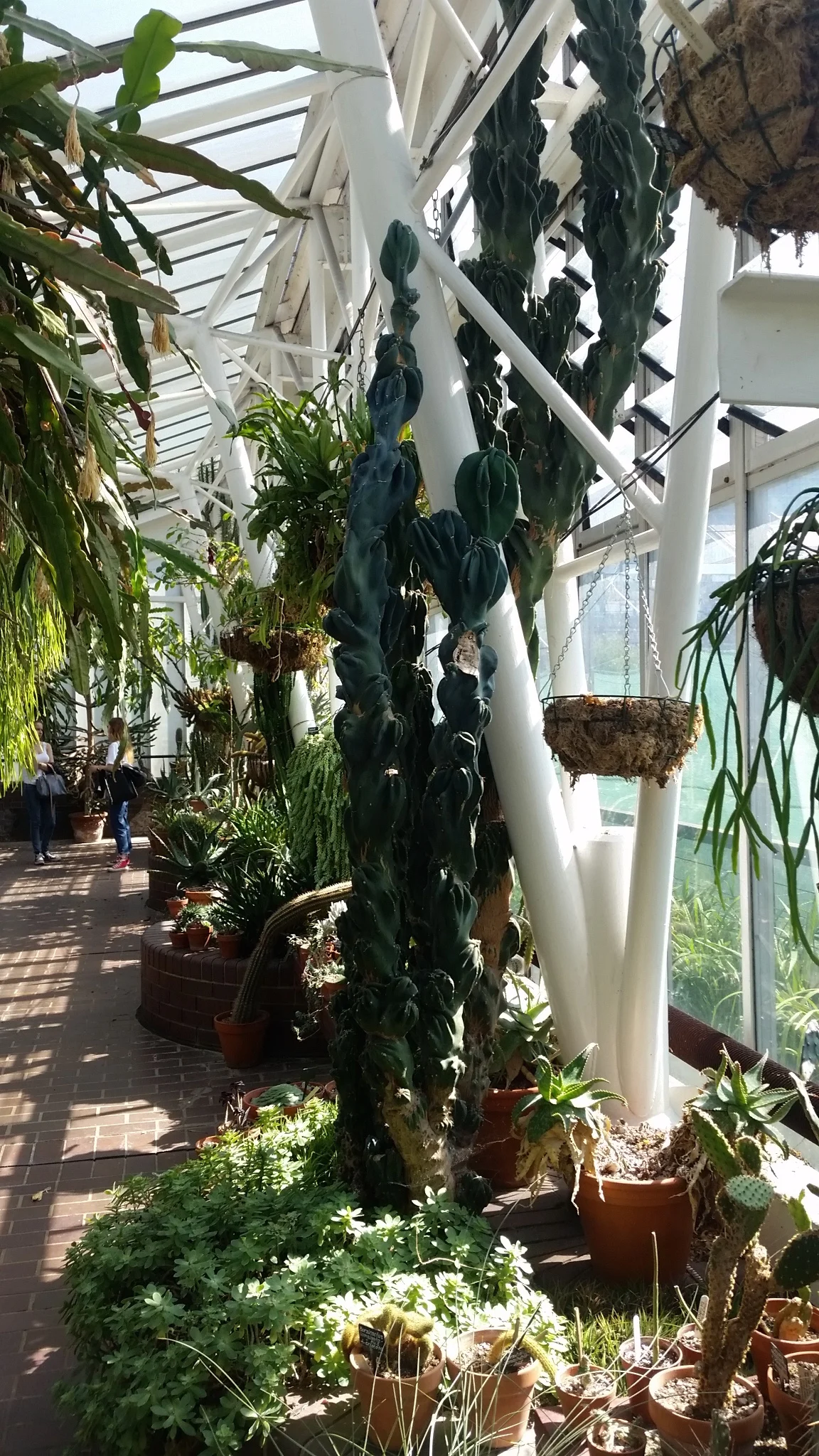 Image: Barbican Conservatory