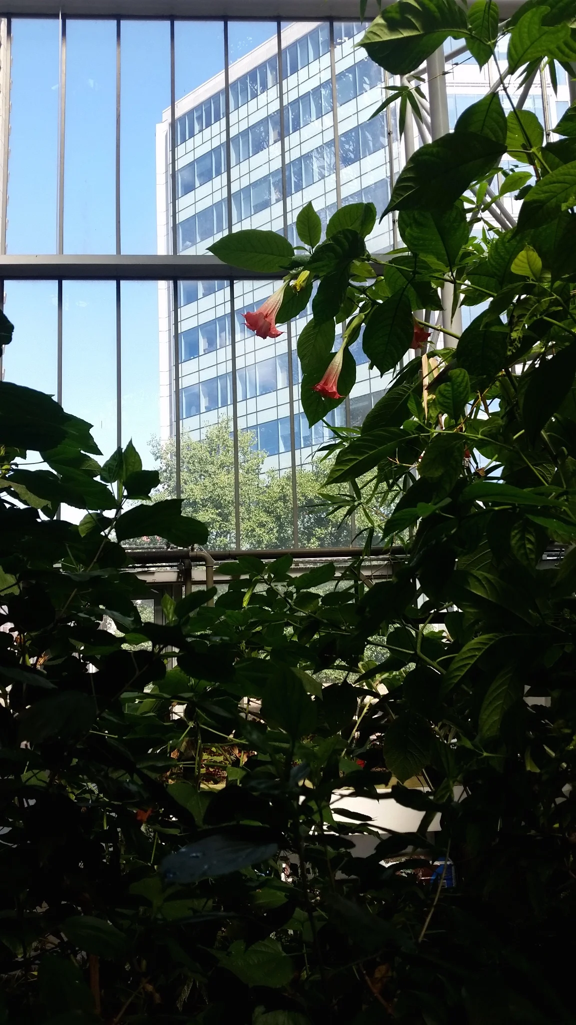 20170827_131127(0) (2).jpg