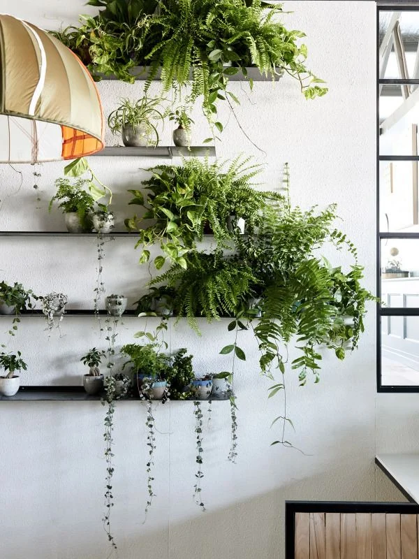 Image: Pinterest.com