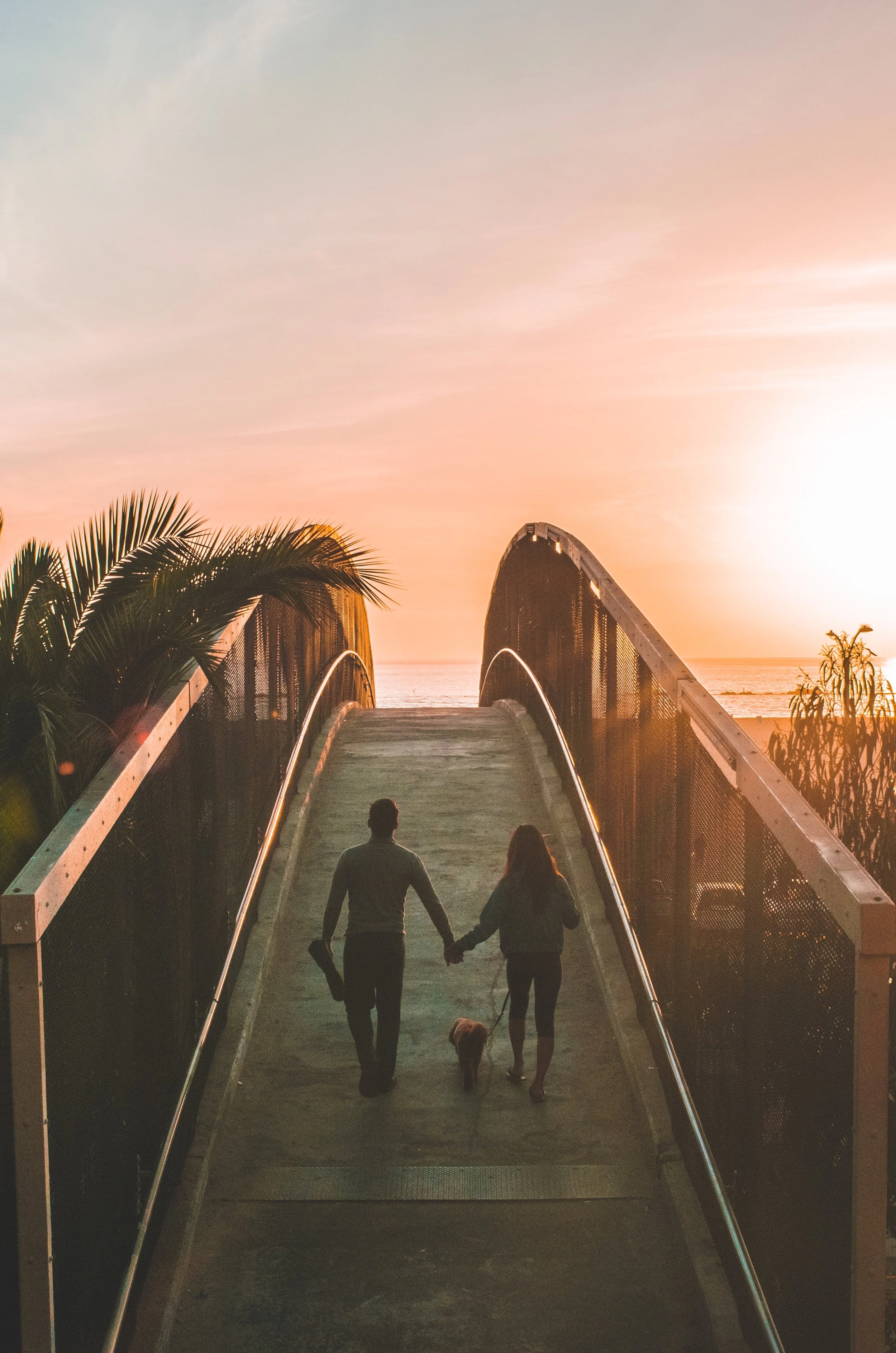 Photo by Shea Rouda on Unsplash