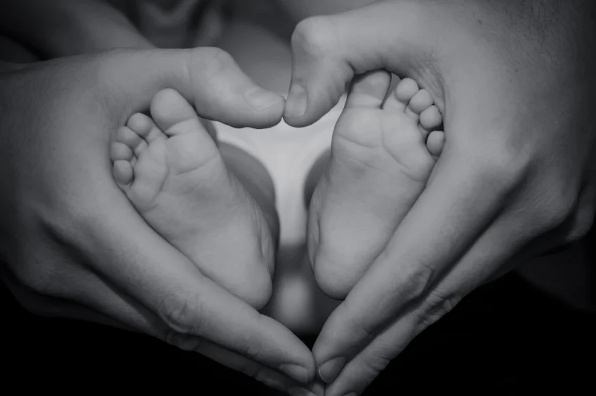 iStock_000040055860_Small.jpg