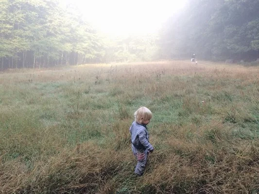 Little Wanderlust 