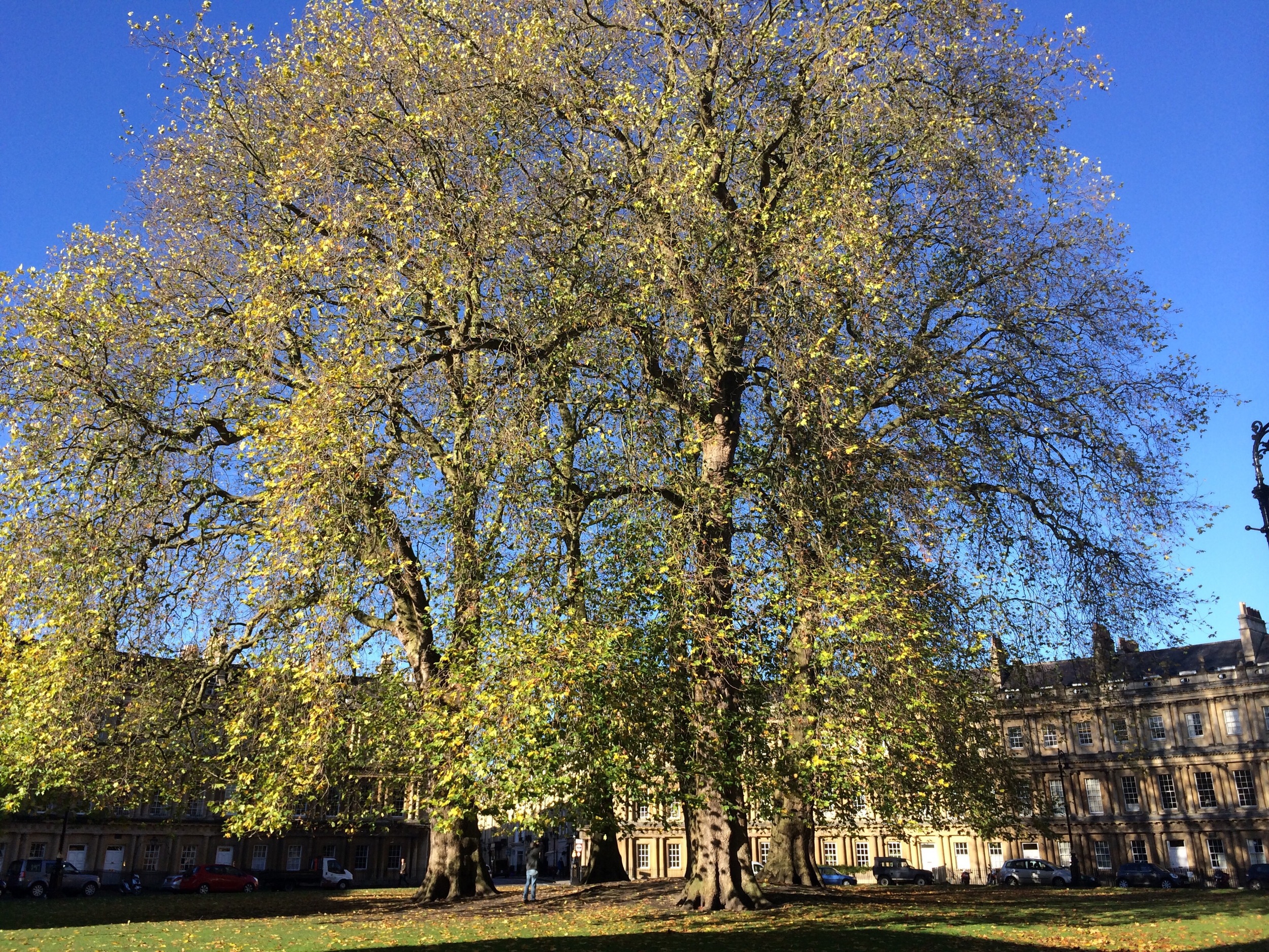   "I live in the beautiful historic city of Bath in the UK, where I was born. I have lived elsewhere but Bath is my home &amp; I've lived here a long time."&nbsp;  