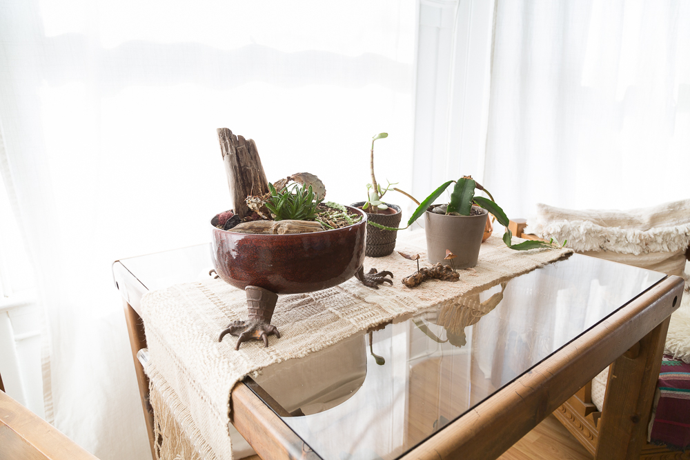  Gifted Anthro alligator feet and a pod of cheerful planters. 