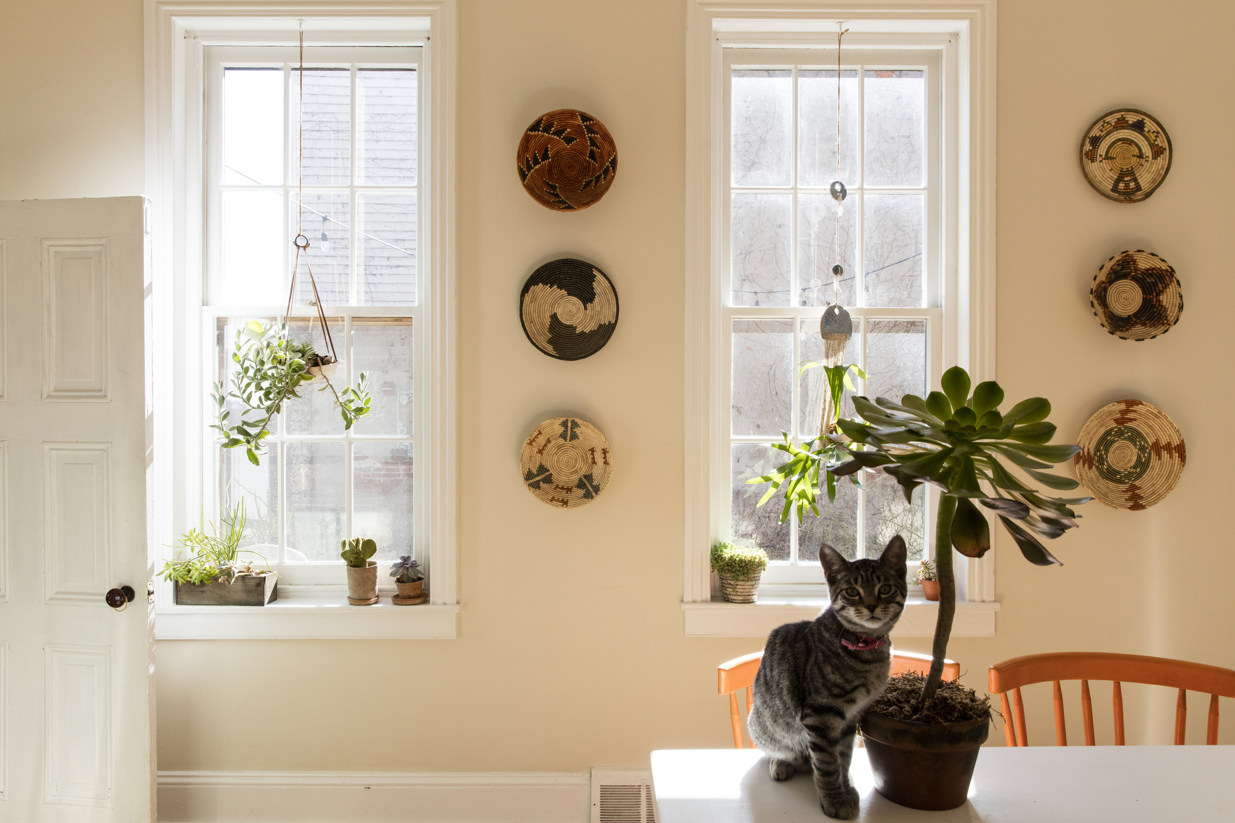  A basket collection hangs on the light-soaked walls, and some friendly greenery in the kitchen. 