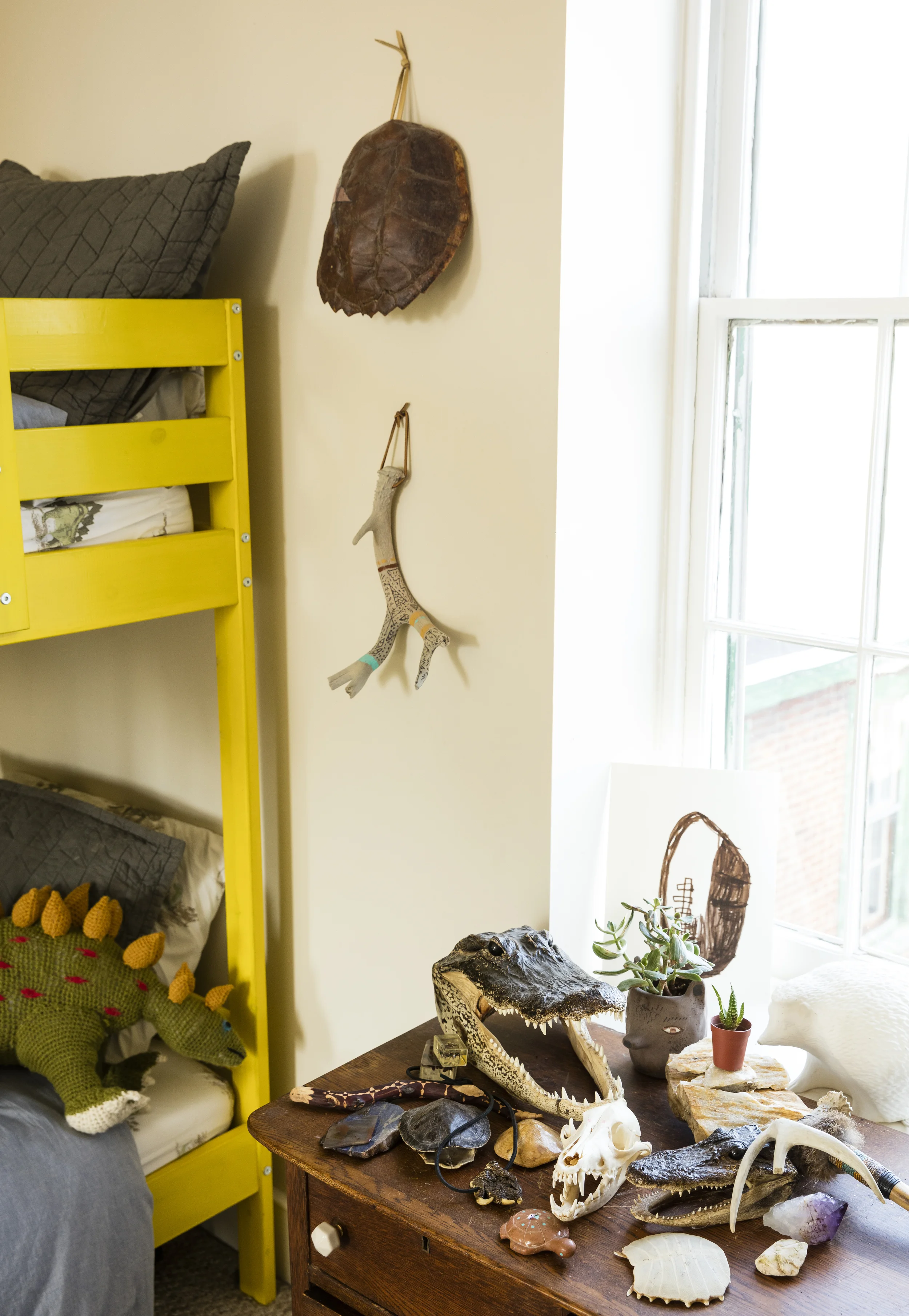  A boy's collection in Ashley's son's room.&nbsp; 