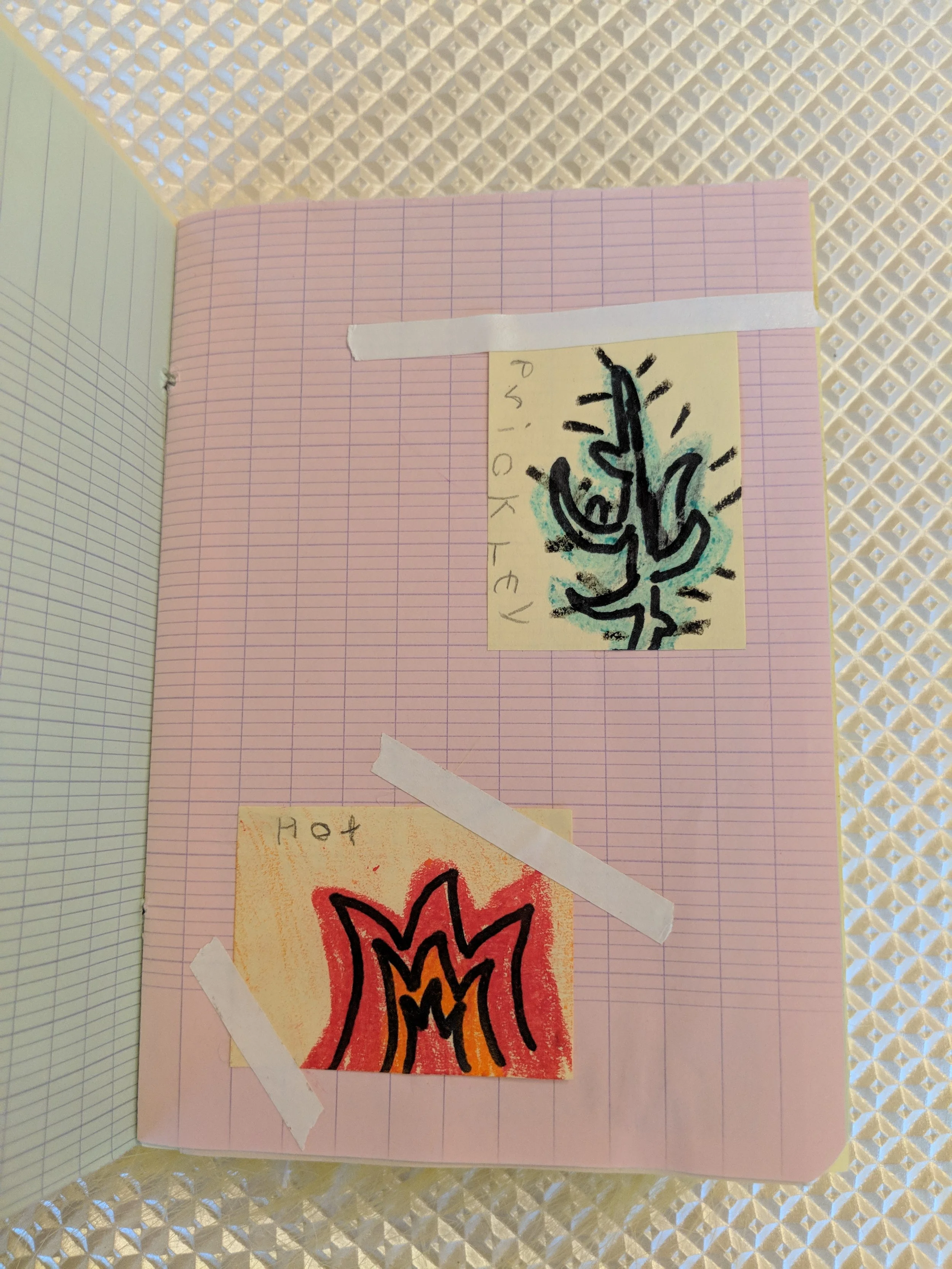 MVIMG_20180217_155153.jpg