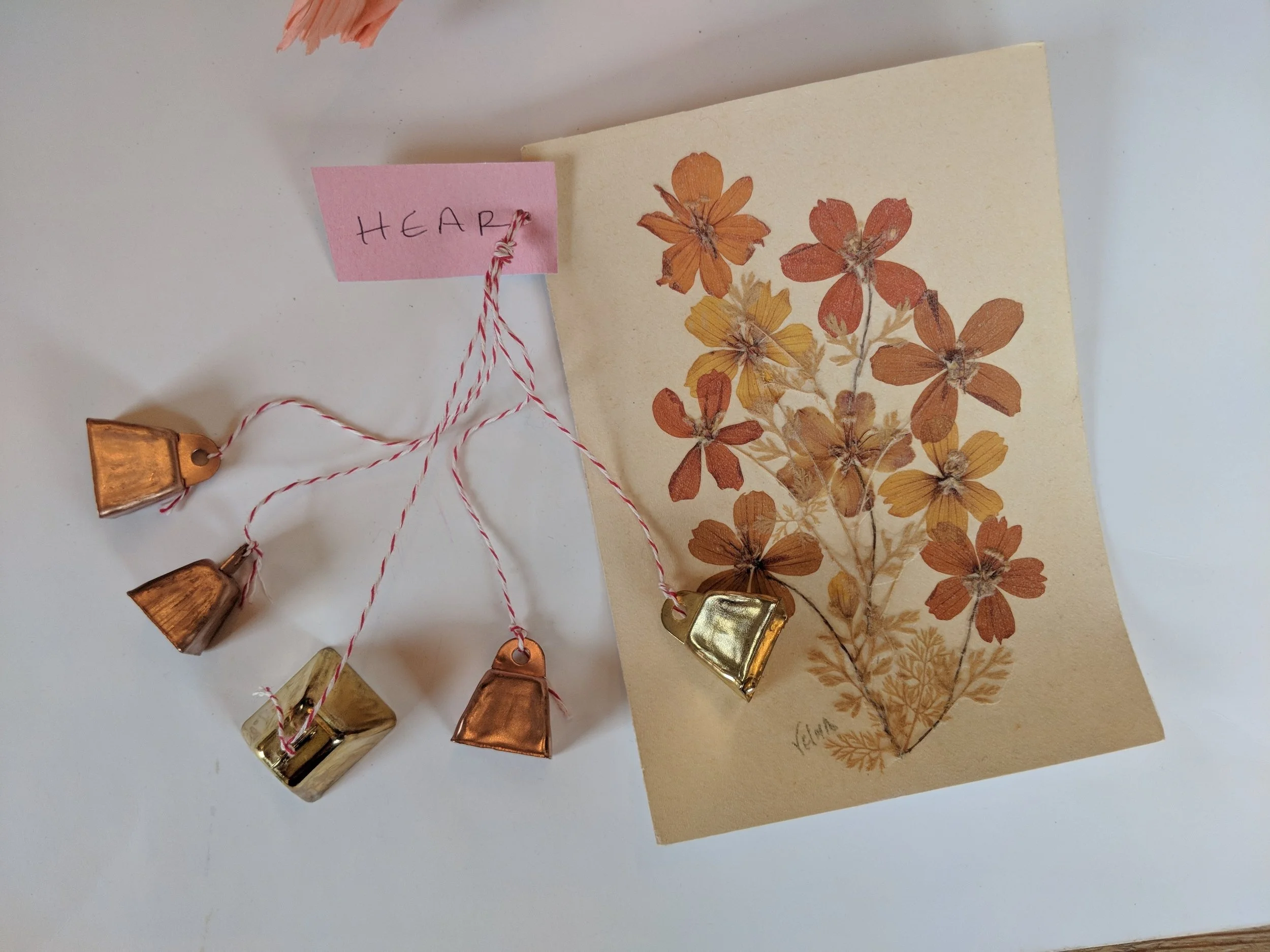 MVIMG_20180215_113832.jpg