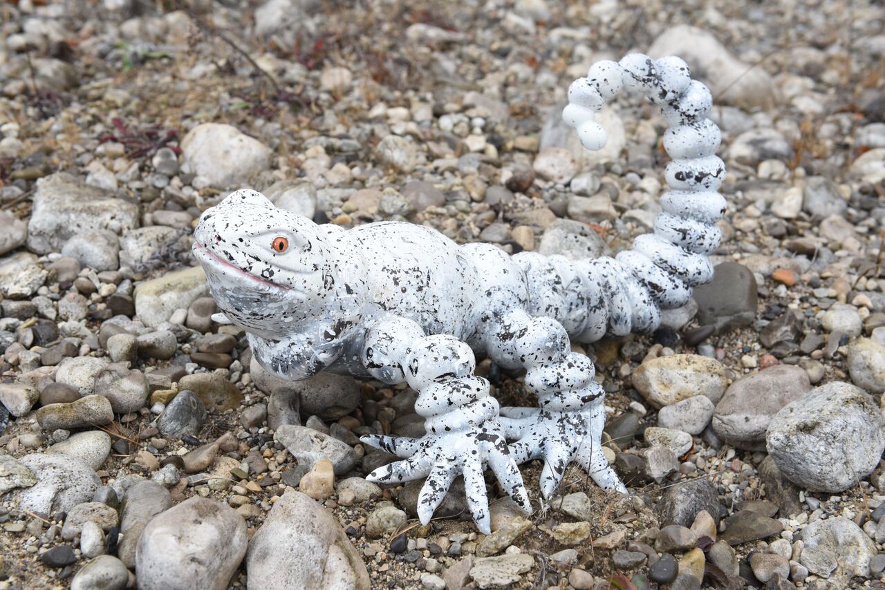 frog4.jpeg