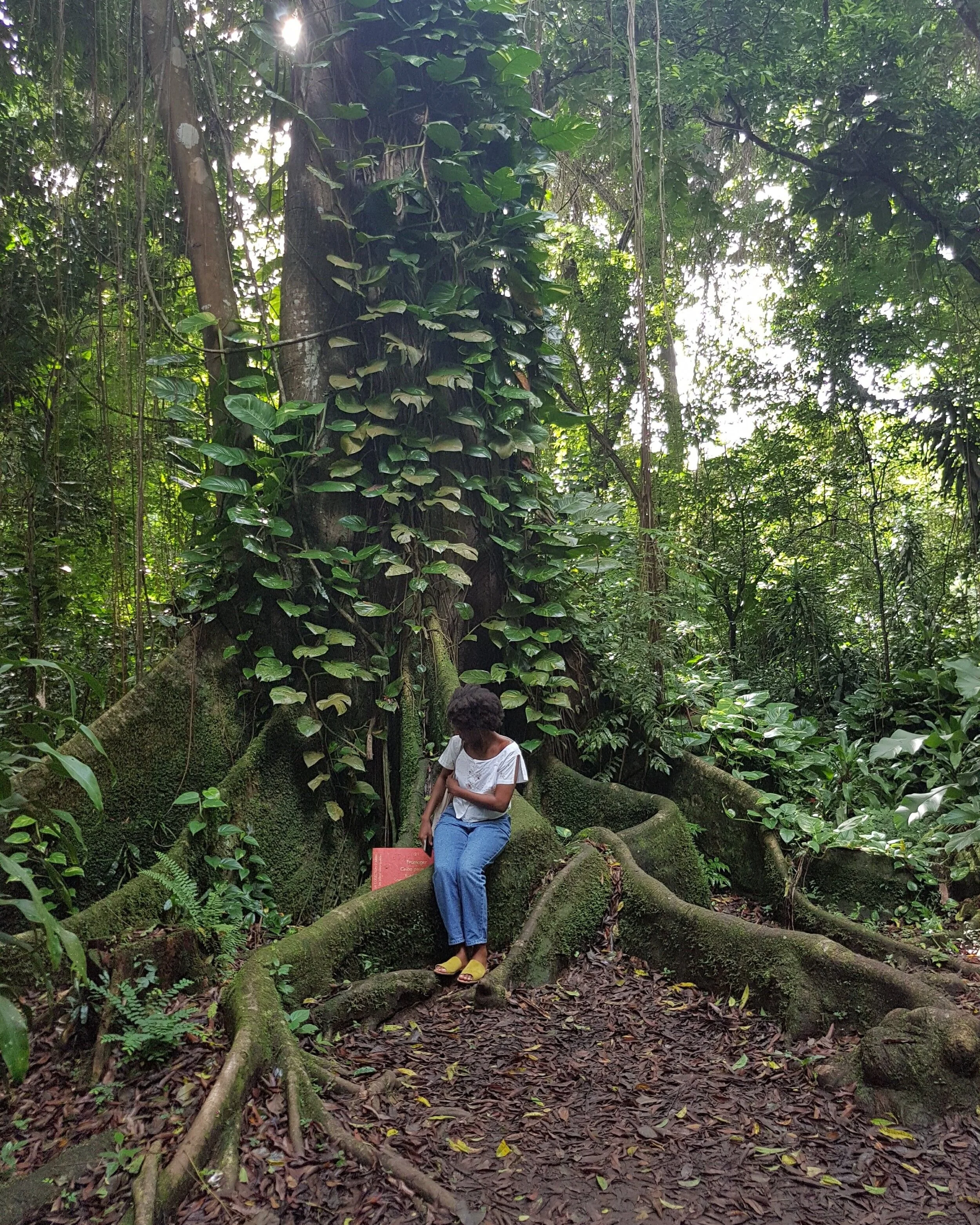 Martinique, 2018 / Sunday walk with my mother (picture taken by her)