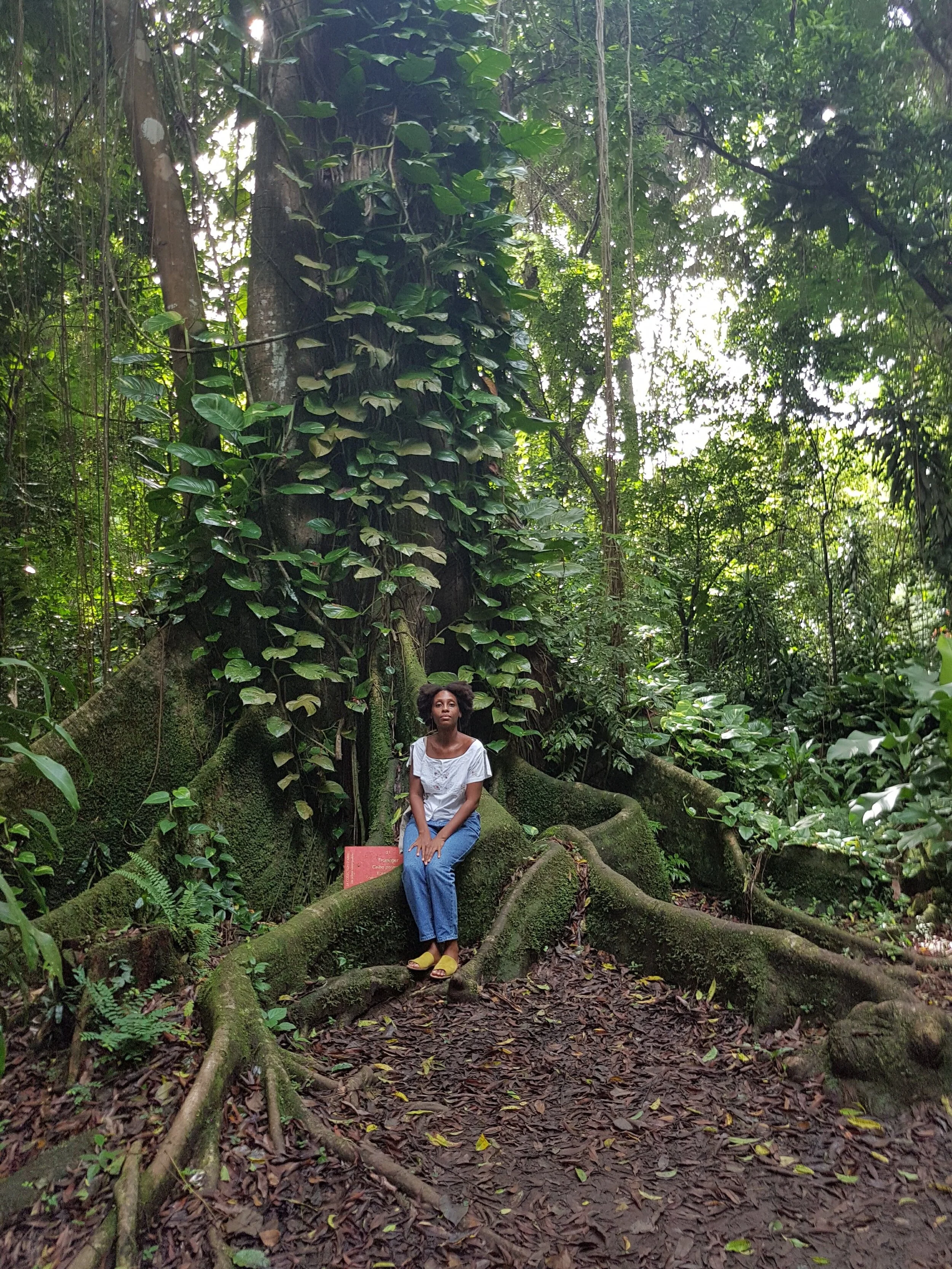 Martinique, 2018 / Sunday wanders with my mother