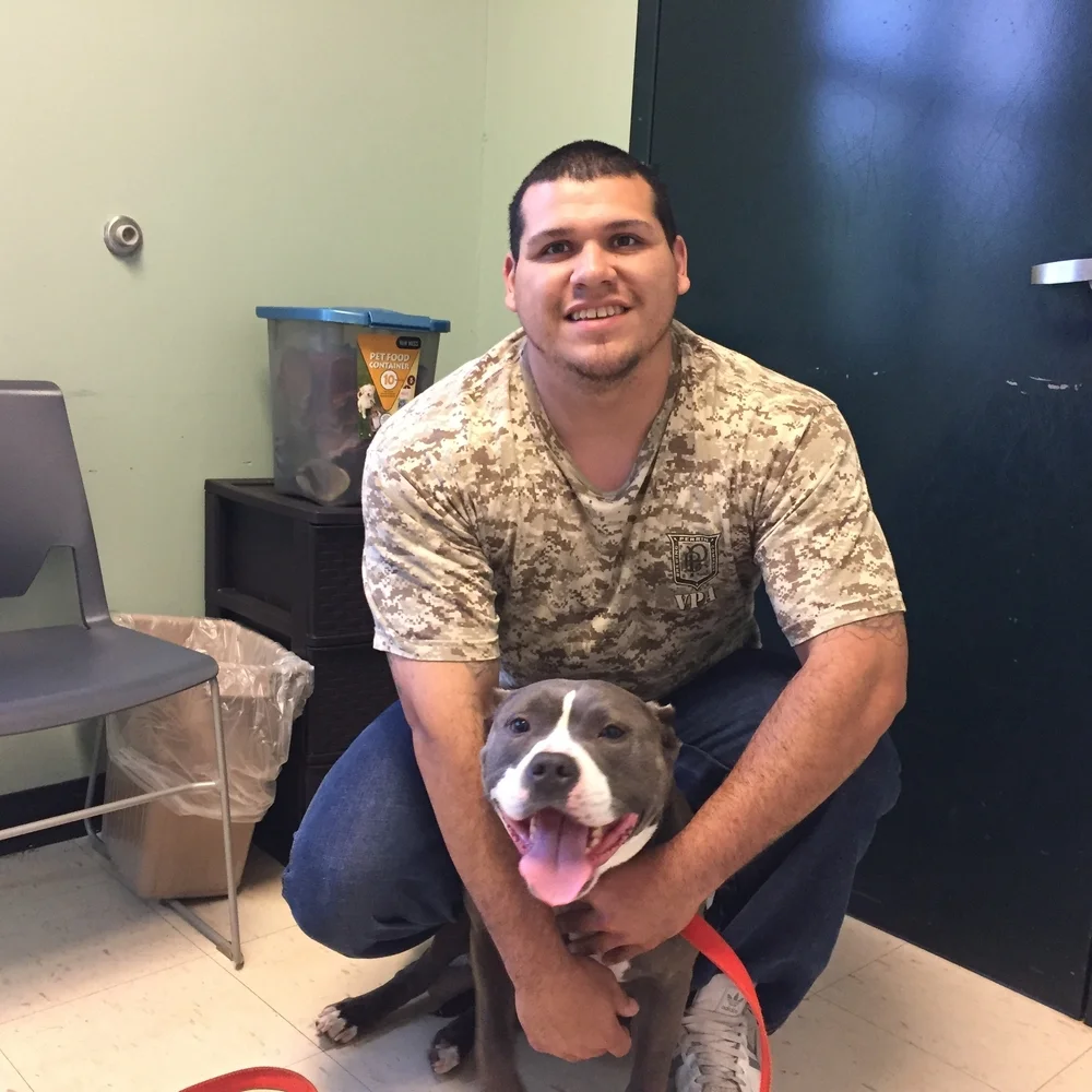 Joe and his buddy Tank came to Pets in Need for help with Tank's ears. As with many pit bulls, Tank's ears were improperly and unkindly cut off when he was just a baby. As a result, Tank's ear canals are not normal and he gets repeated ear infections. Joe needed a "helping paw" for his buddy Tank and we at PIN were happy to help. We will keep a watch on Tank - he may eventually need surgery to repair his deformed ear canals so that he stops getting ear infections. Your donations can help PIN help dogs like Tank live a pain free life - thank you!