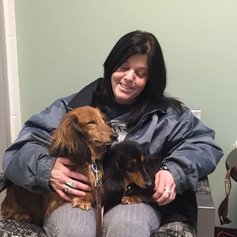 Belle and Caesar are dachshunds. Dental disease is very common in this breed. These two both needed dental cleanings along with extraction of diseased teeth. This was not financially feasible for their mommy (pictured). Pets in Need was able to clean the healthy teeth and extract the diseased teeth. Best of all, Belle and Caesar had healthy mouths for the first time since they were puppies!