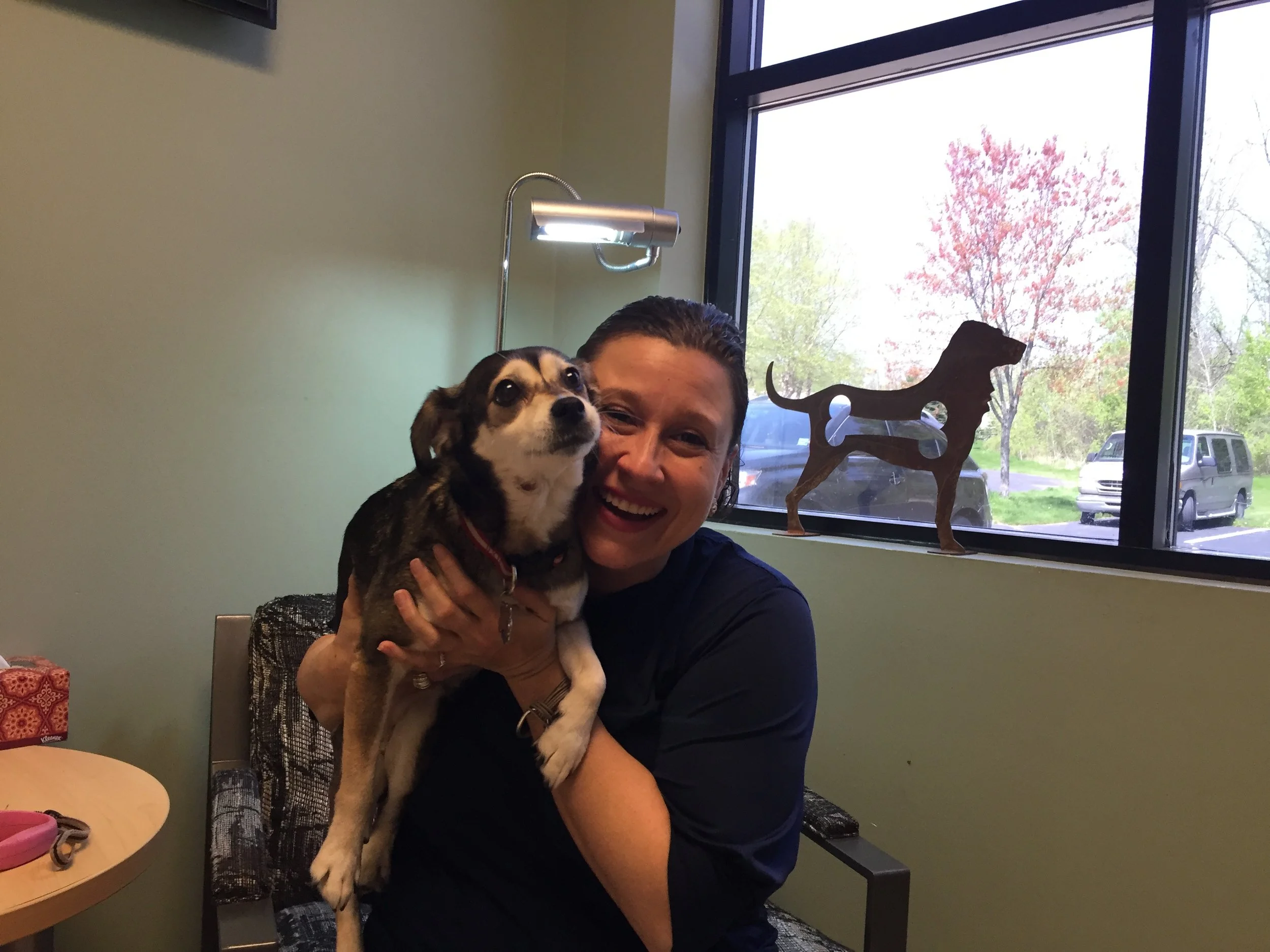 If Pets in Need can't help my pet - who will?