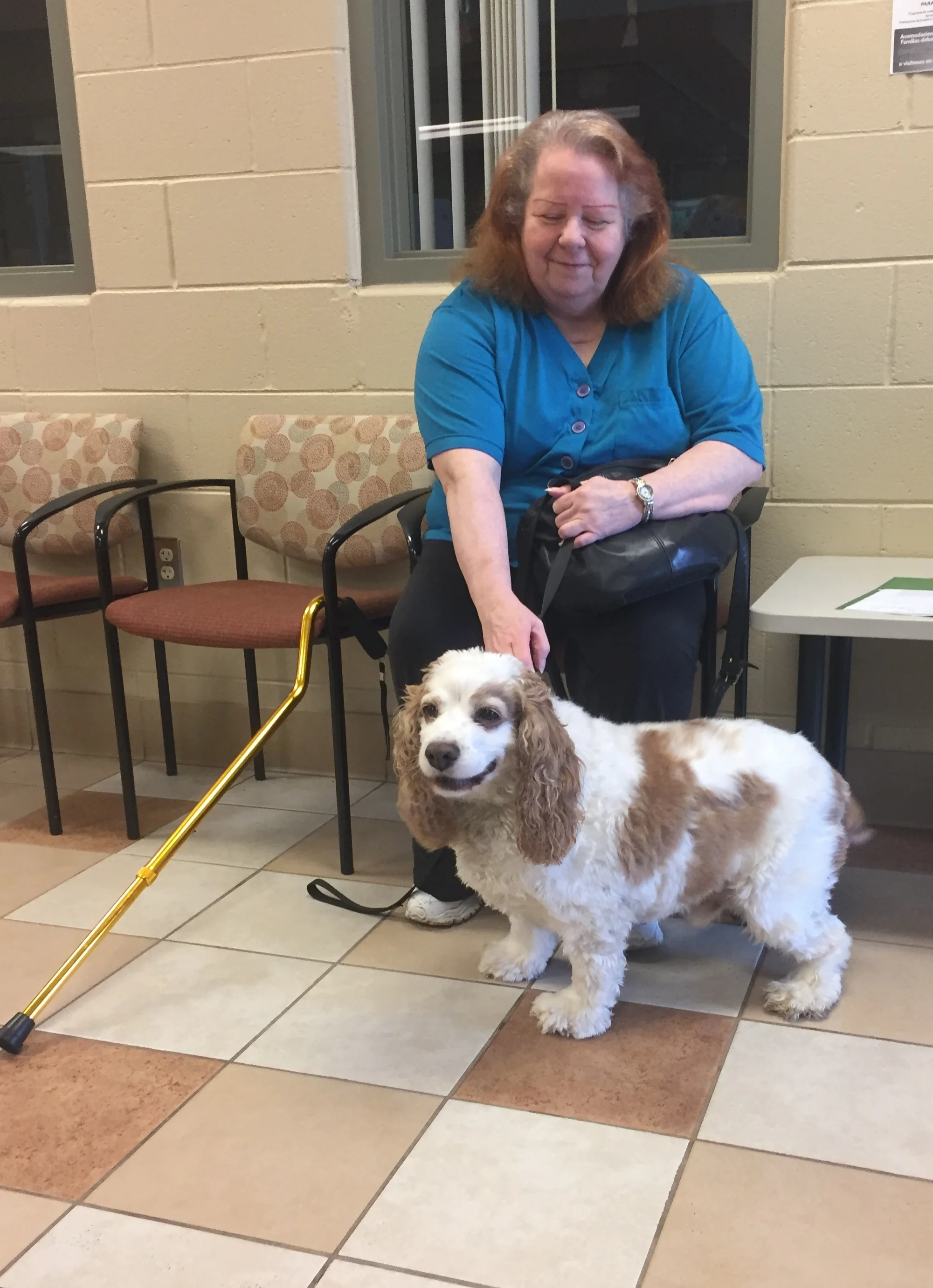 Upcoming clinics for your pets!