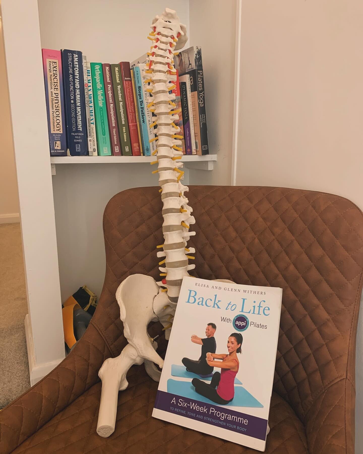 🌎 WORLD BOOK DAY! 📗

Back pain is a common problem, and it&rsquo;s often the reason our clients seek our help as Physios

Treatment and Management can include &lsquo;hands on&rsquo; joint mobilisations and massage techniques, sometimes acupuncture,