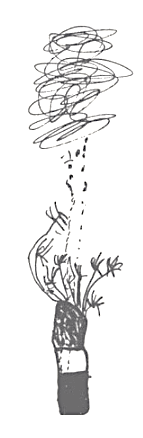 Reggio Flower Plant Sketch.png