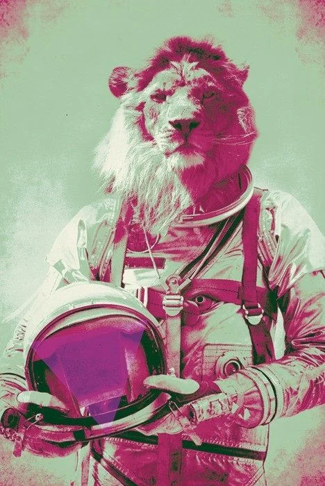 spaceLion.jpg