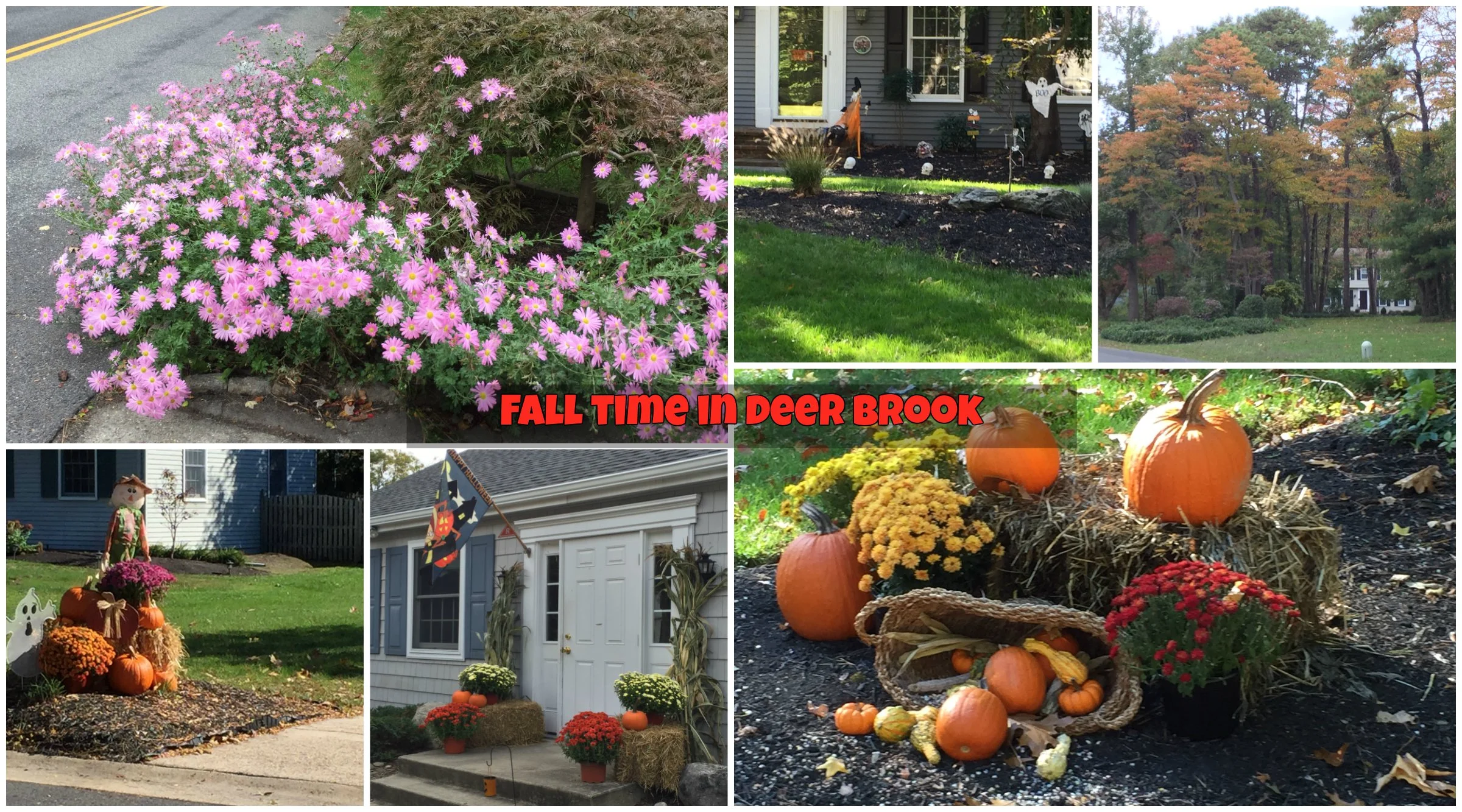 fall time 2015.jpg
