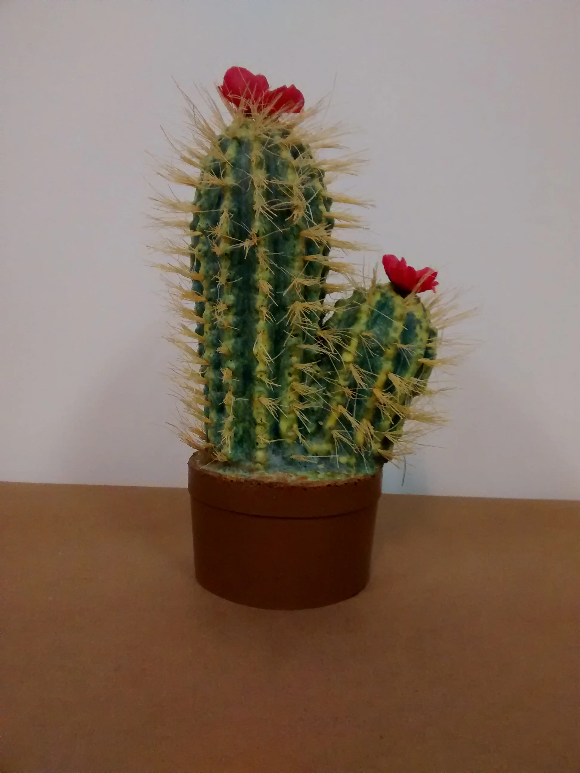 NOISES OFF / CACTUS