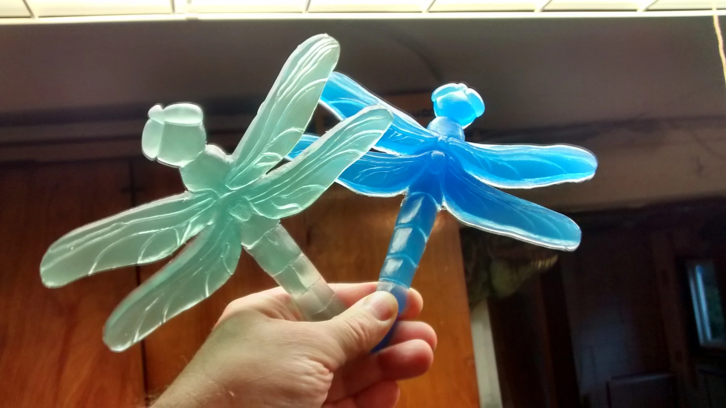 ILLUMINATED DRAGONFLIES