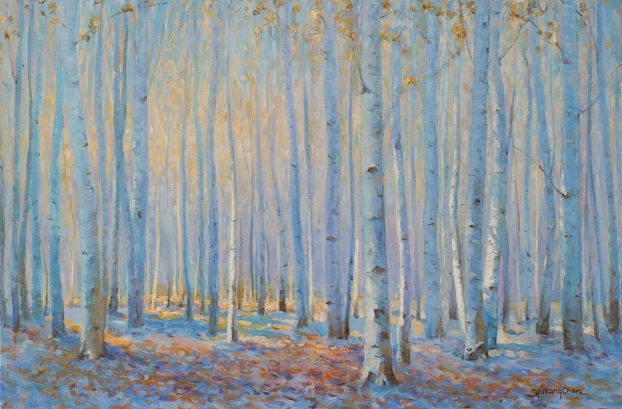 In October - Birch Forest