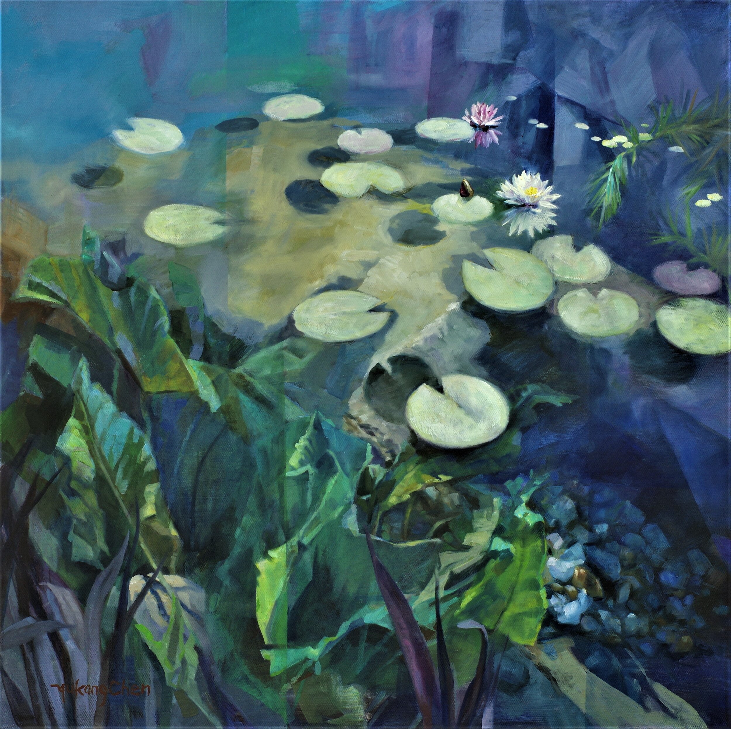 Water Plants