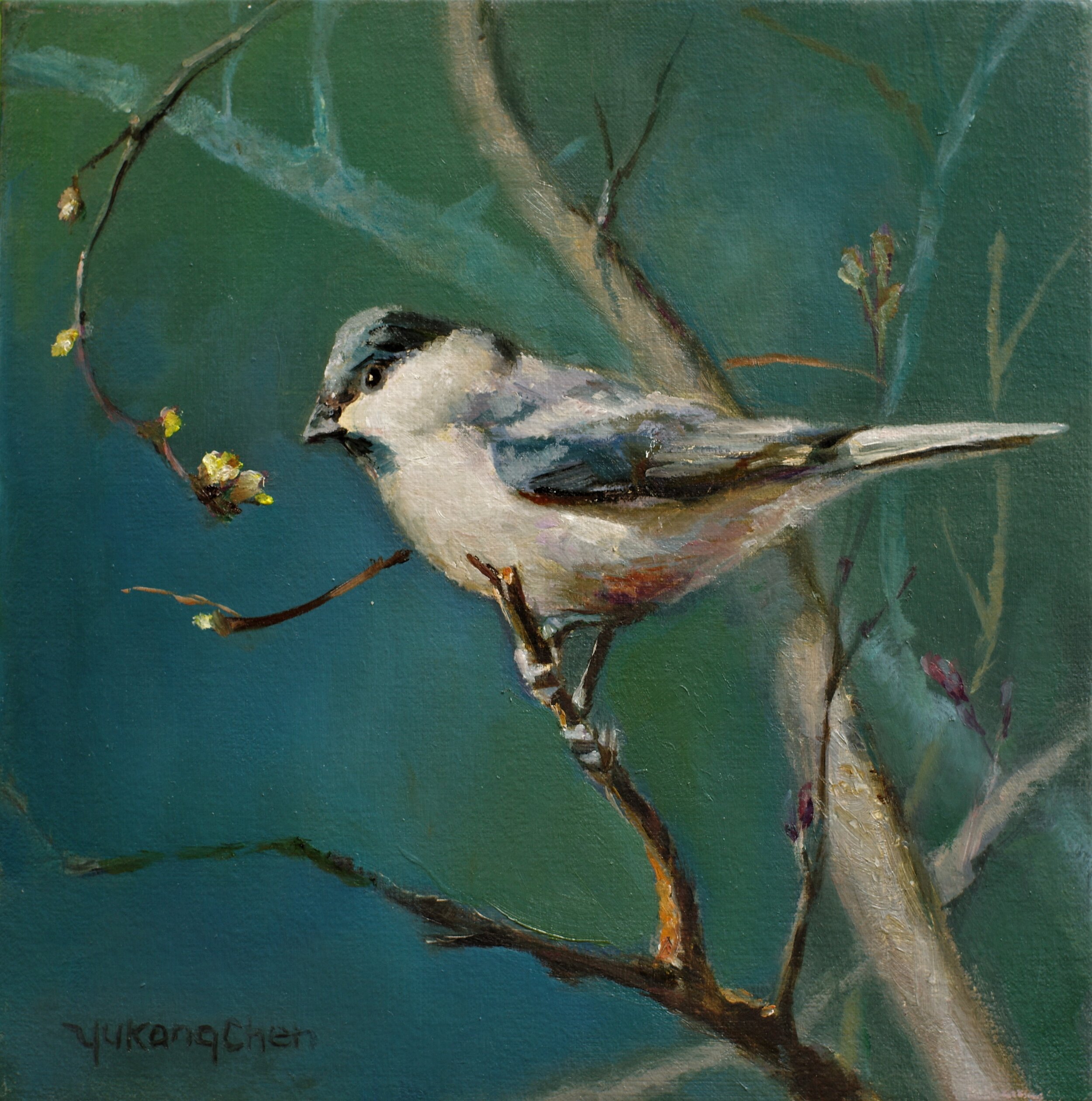 A Tit ( 溧泽）