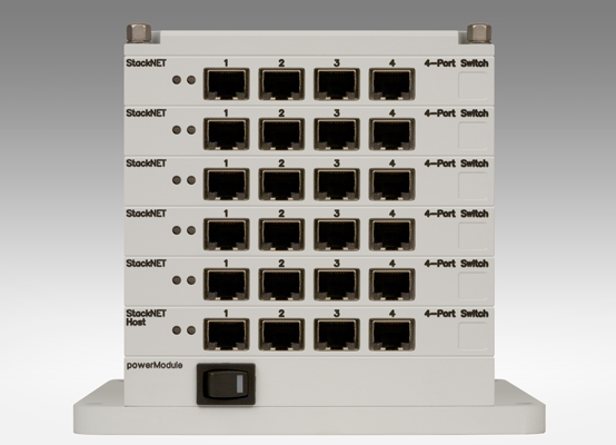 24-Port Switch (RJ-45)