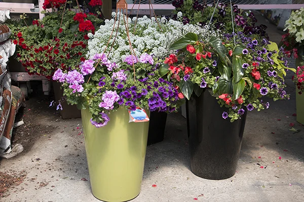 chezben_pot_fleurs.jpg