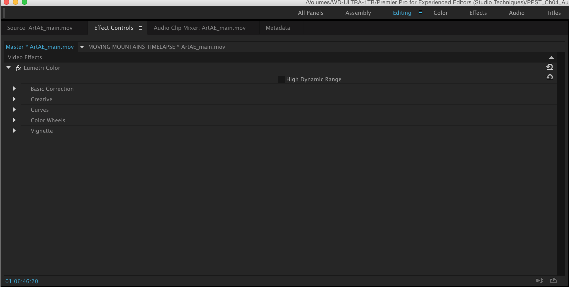 Screenshot of Master Effect applied in Effect Controls. 