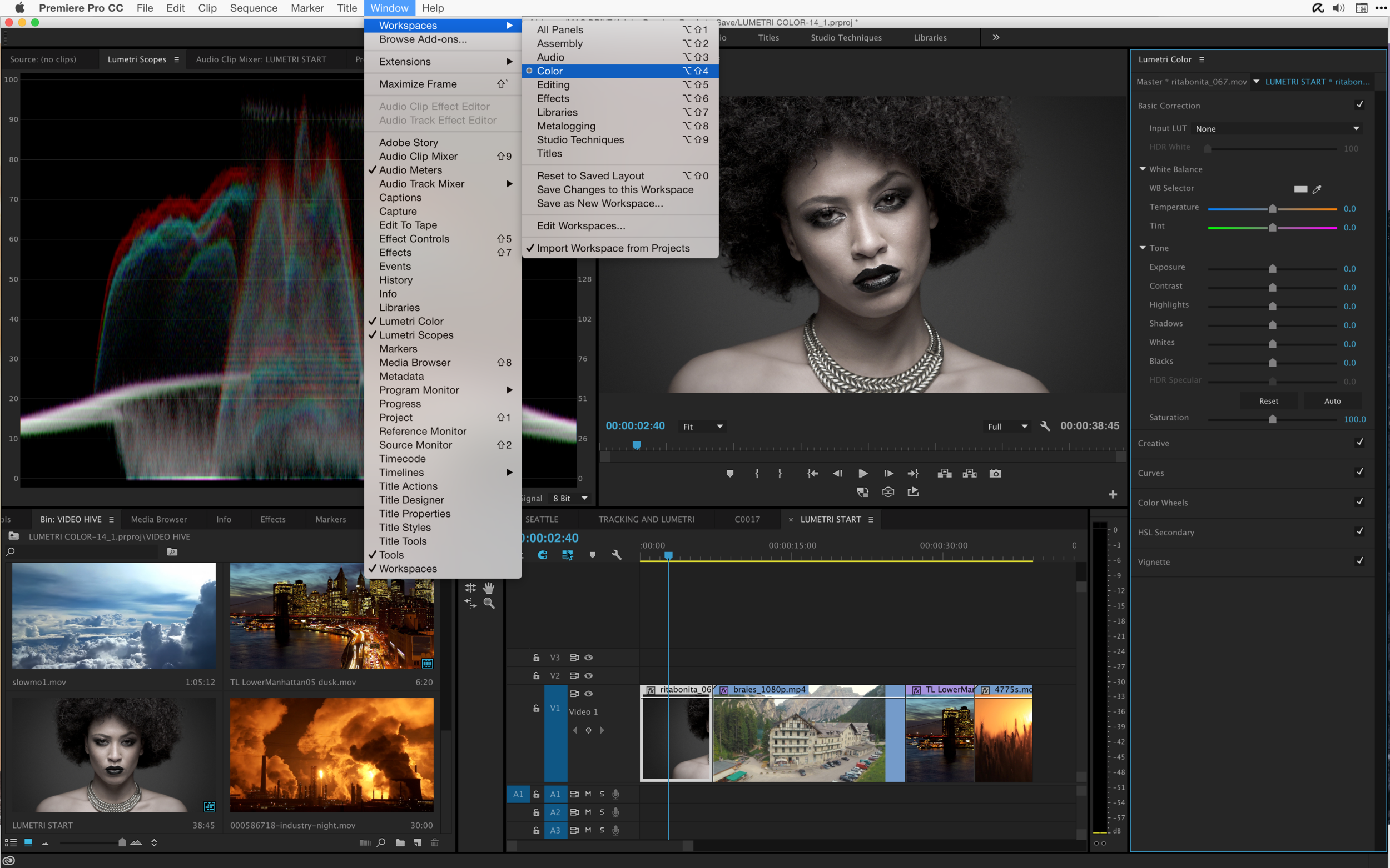 The Color workspace will display the Lumetri Color and Scopes Panel.