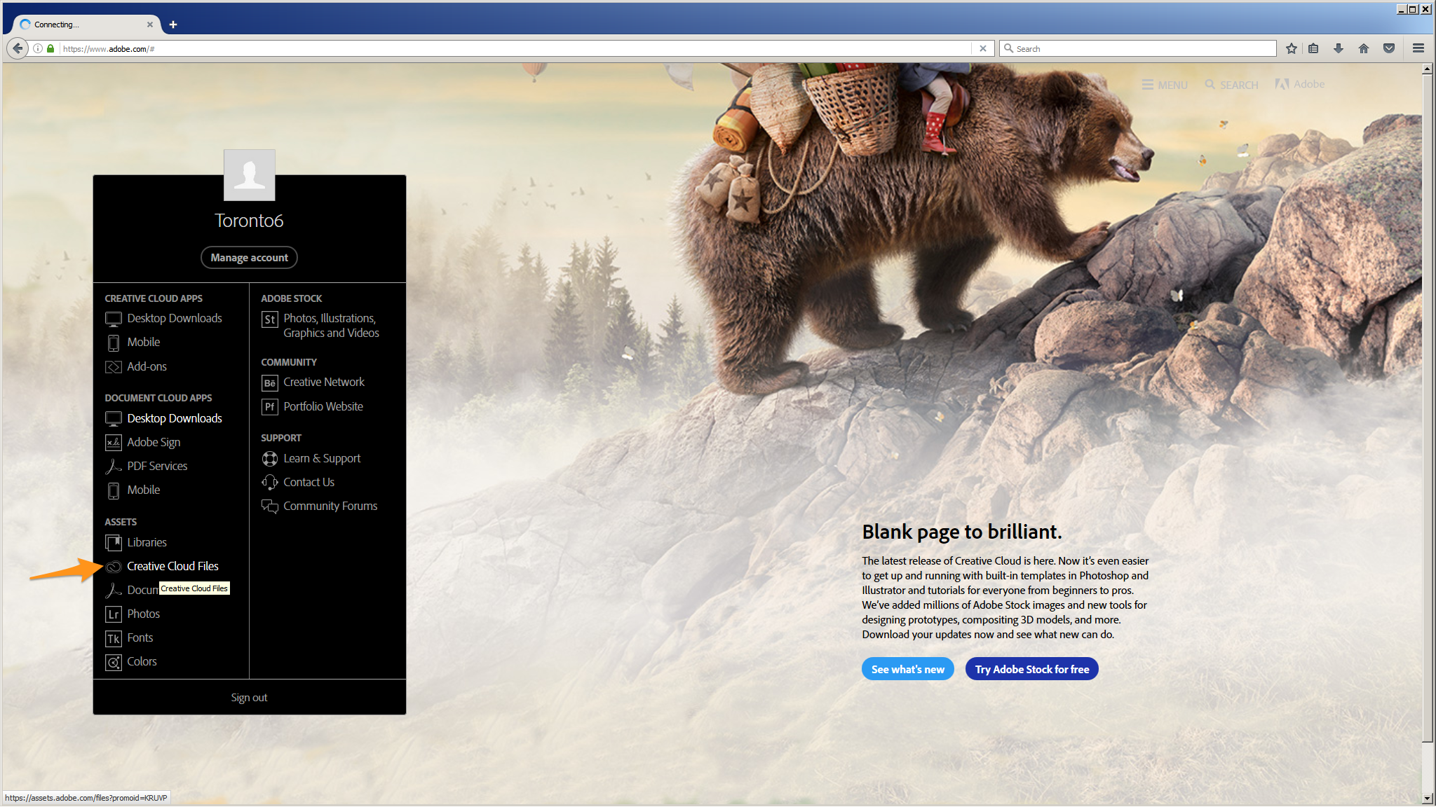 Where to find your Creative Cloud Files online under your Creative Cloud account.