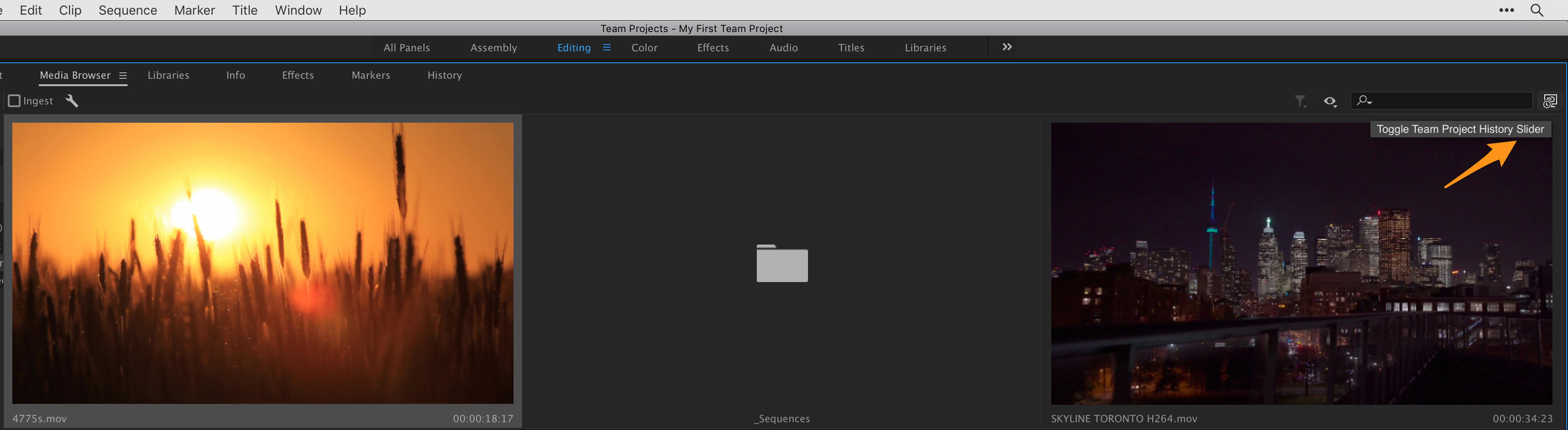 Arrow Pointing to Toggle Team Project History Slider in Media Browser. 