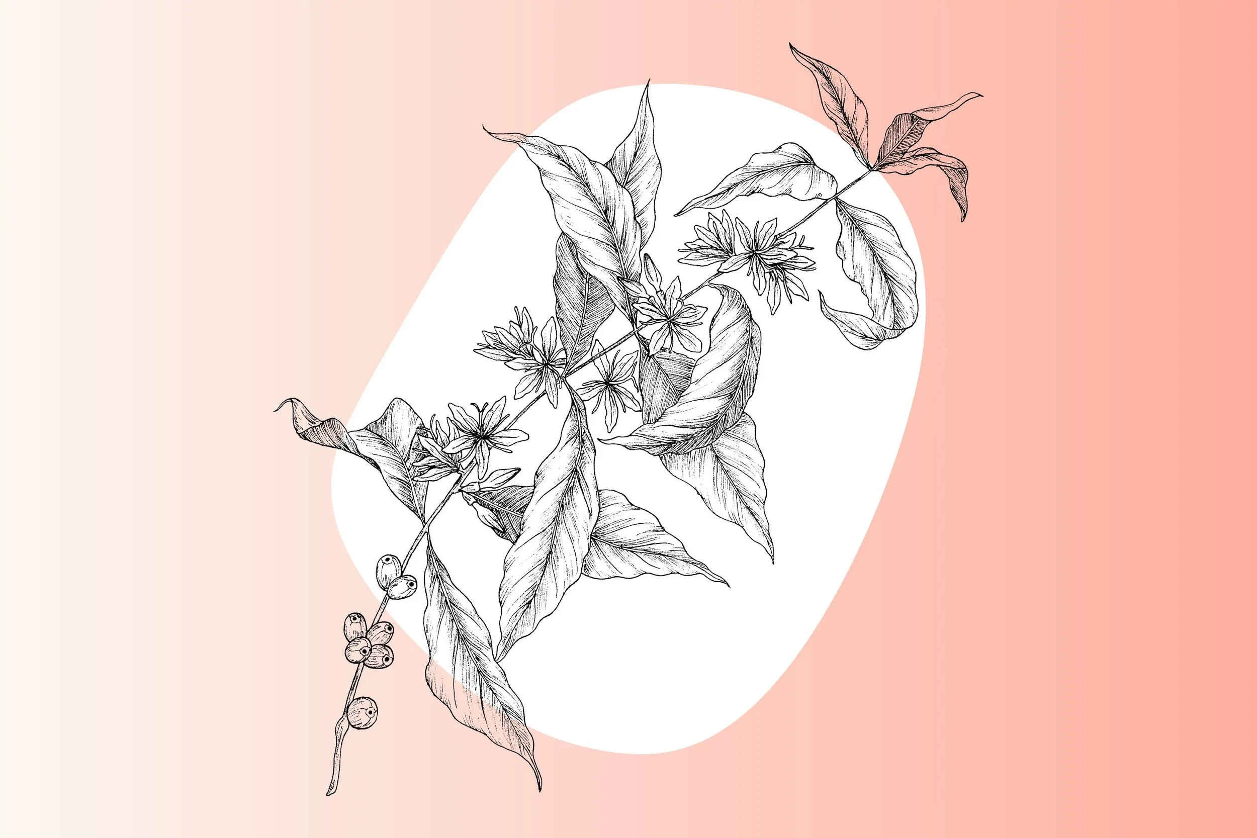 Change Me from the Inside-Out