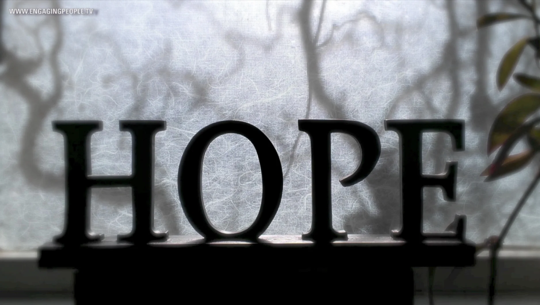 Screen Shot 2015-07-01 at 2.25.56 PM.jpg