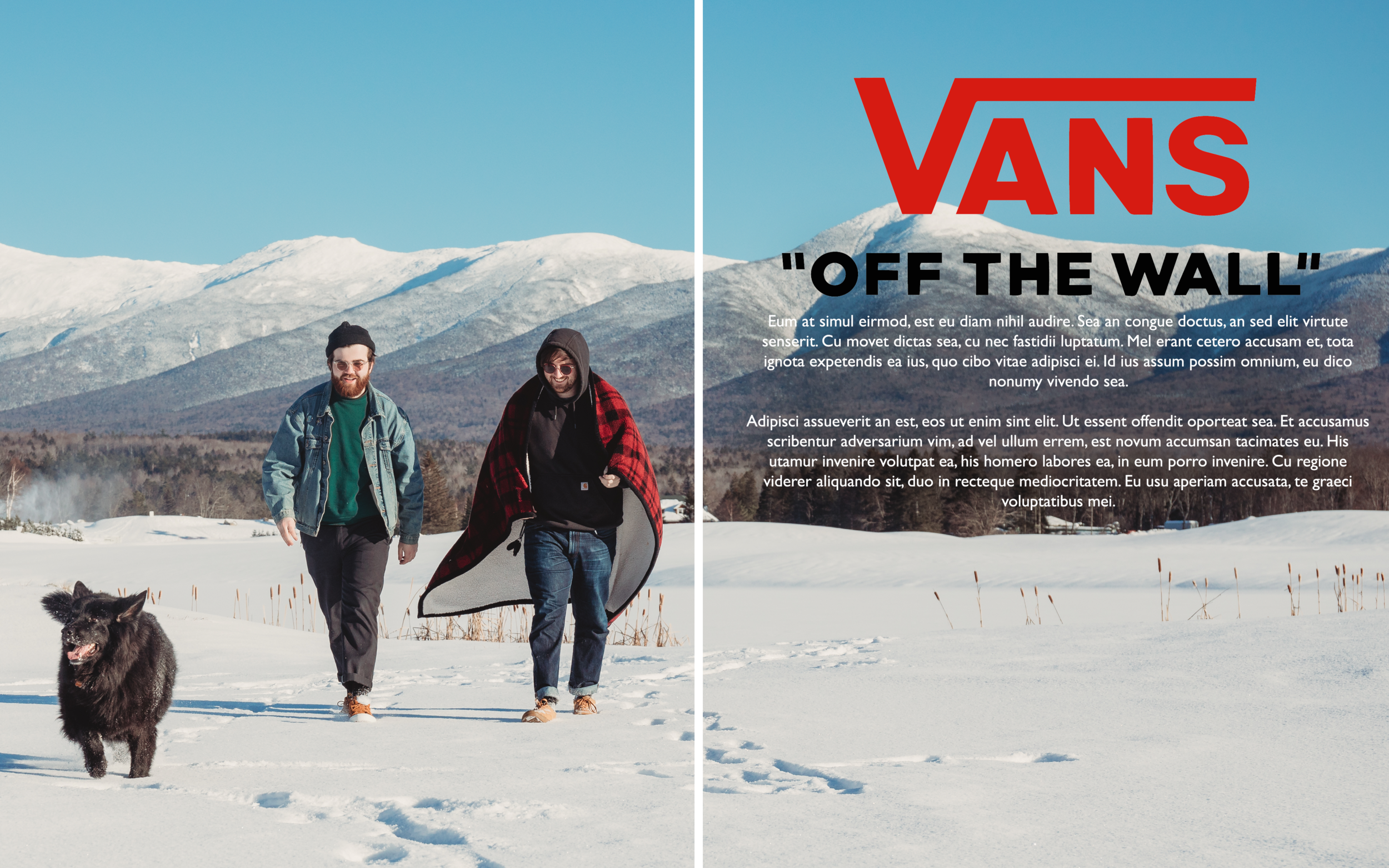 vans cibo vans cibo