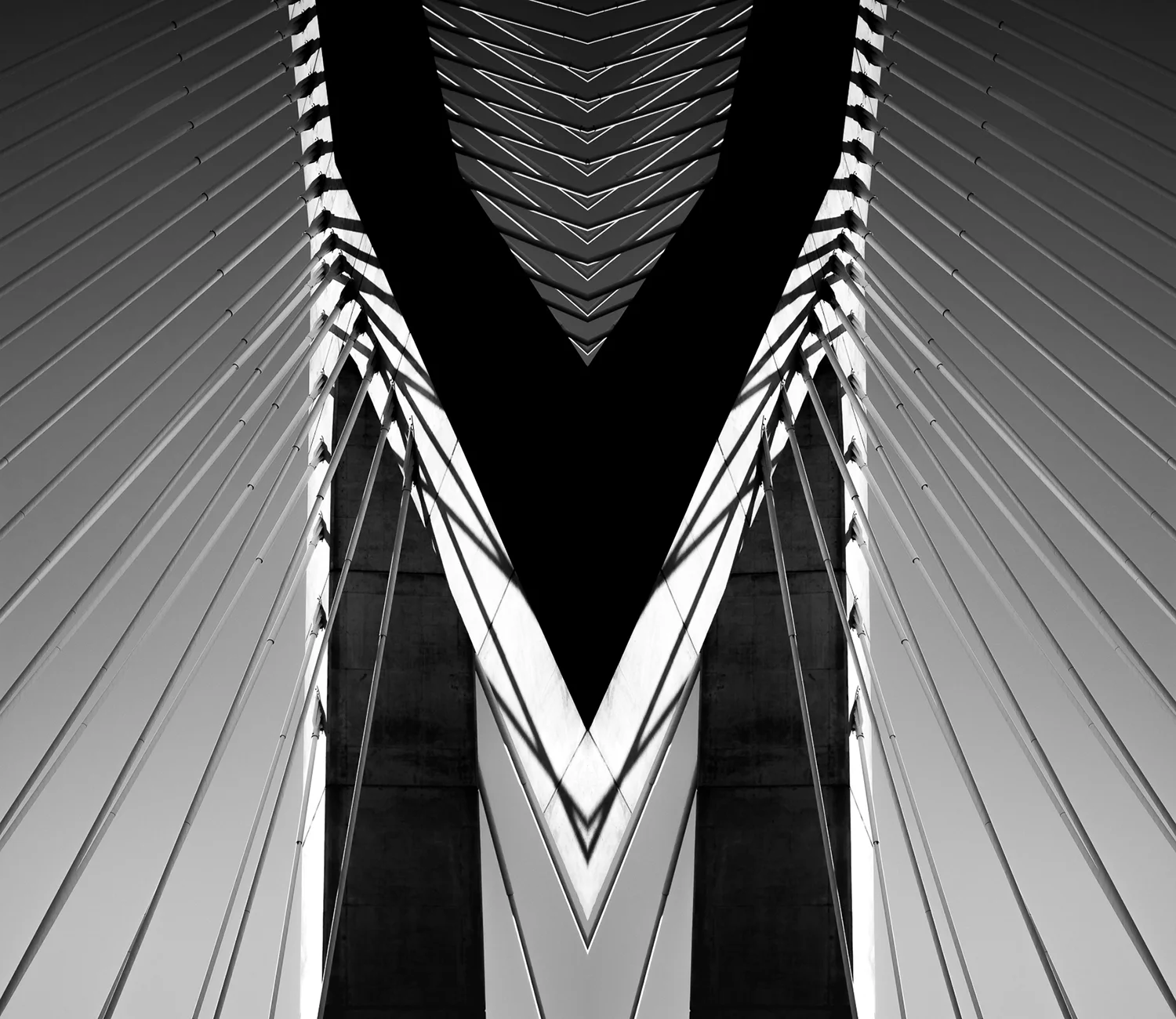 Web